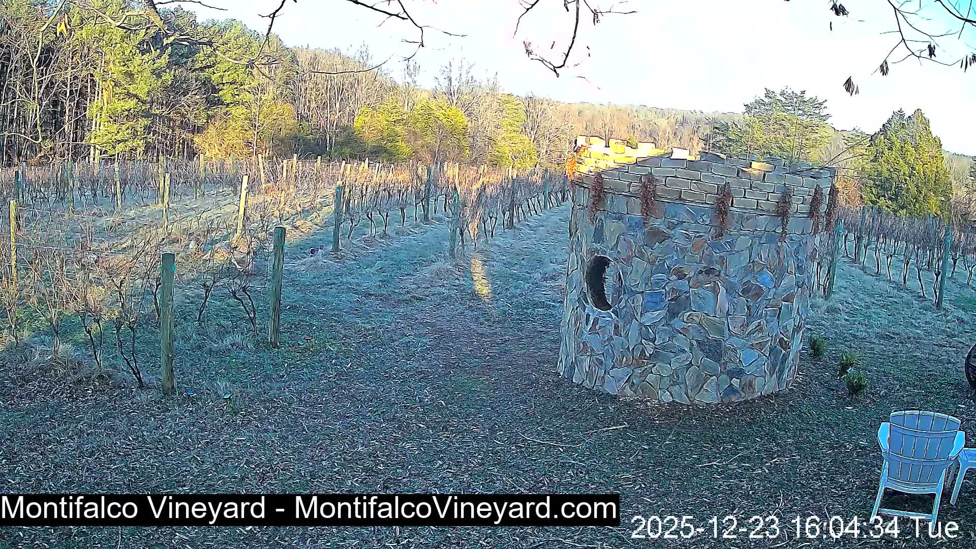 Virginia, Montifalco Vineyard Live Cam - Advance Mills, Albemarle, Virginia, USA