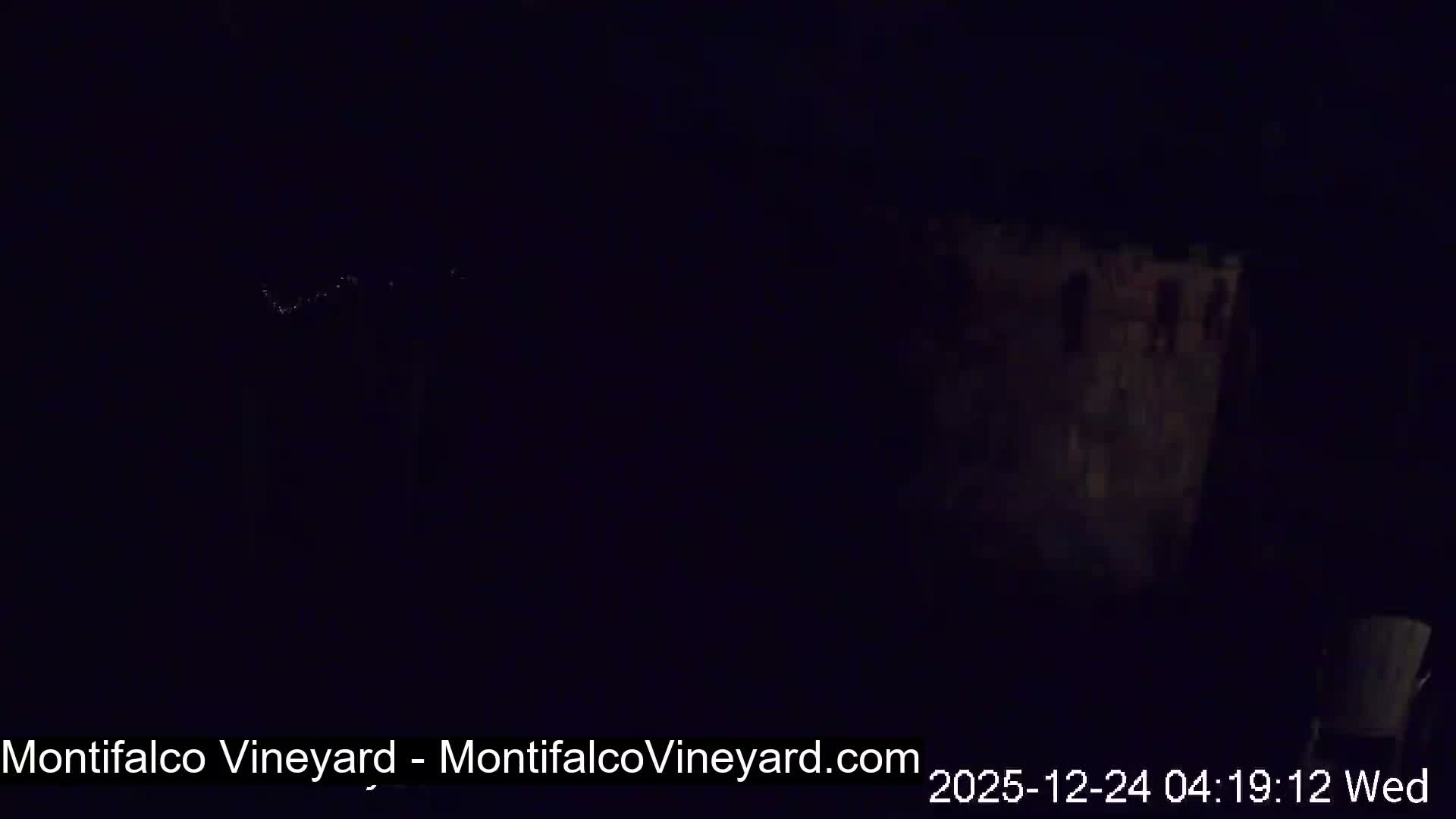 The image depicts an extremely dark outdoor scene during a clear night, where only faint, indistinct vertical shapes are barely discernible in the pervasive gloom.