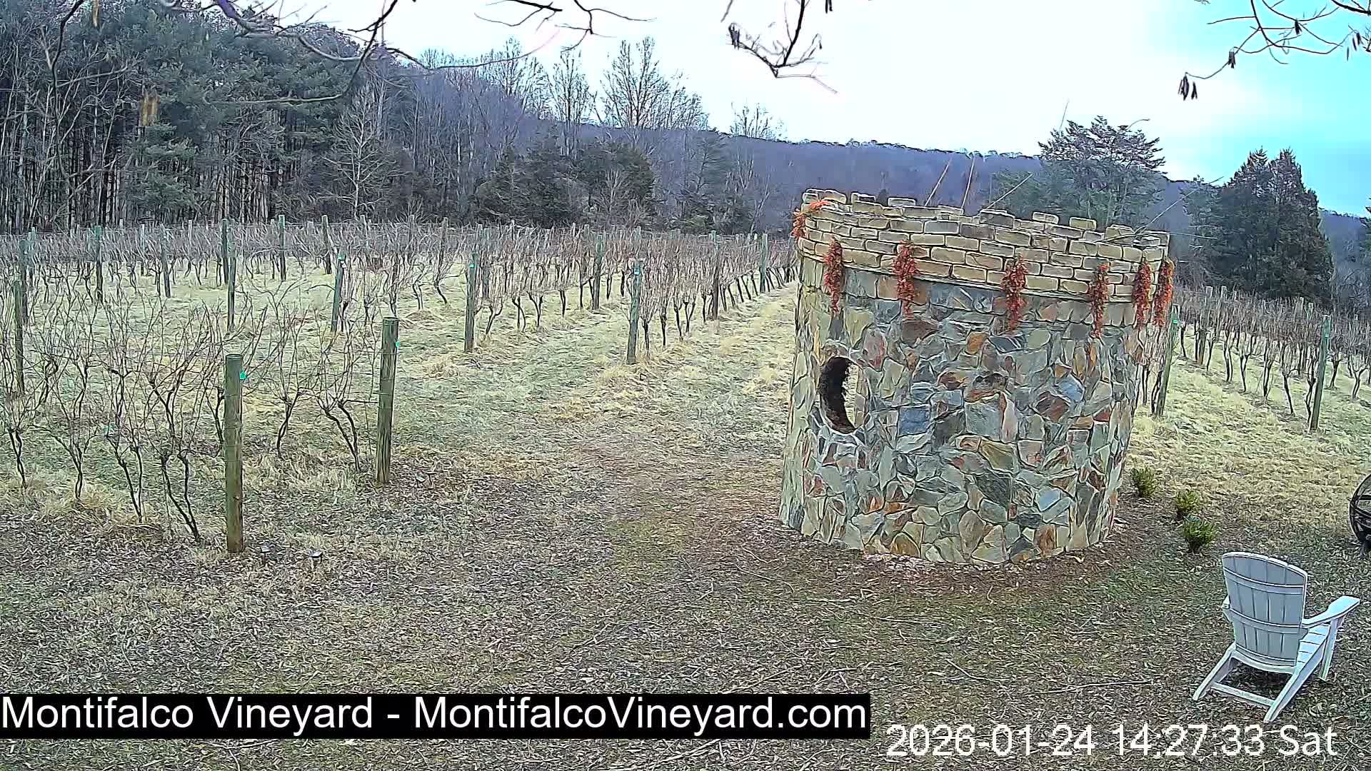 Virginia, Montifalco Vineyard Live Cam - Advance Mills, Albemarle, Virginia, USA
