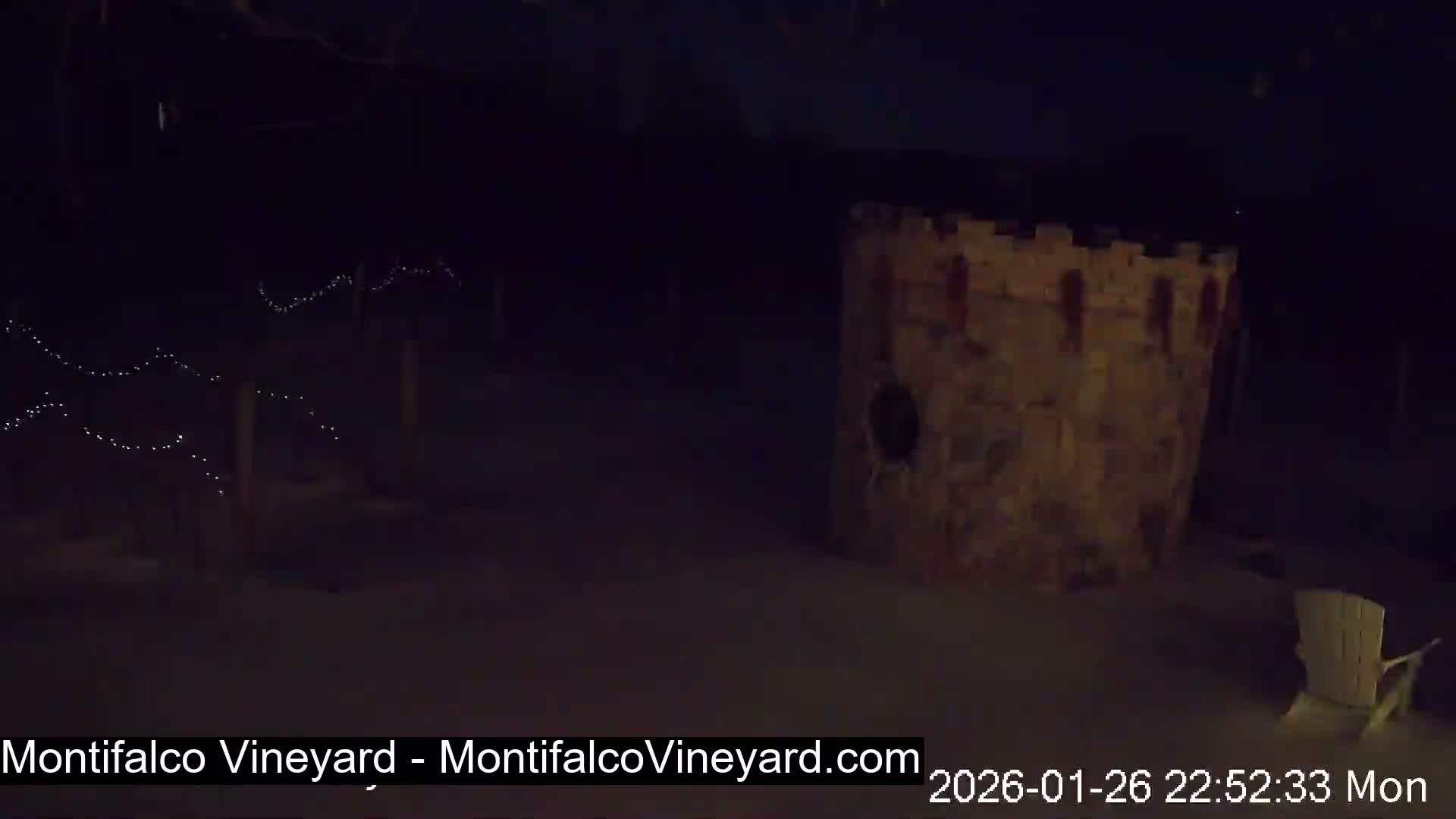 Virginia, Montifalco Vineyard Live Cam - Advance Mills, Albemarle, Virginia, USA