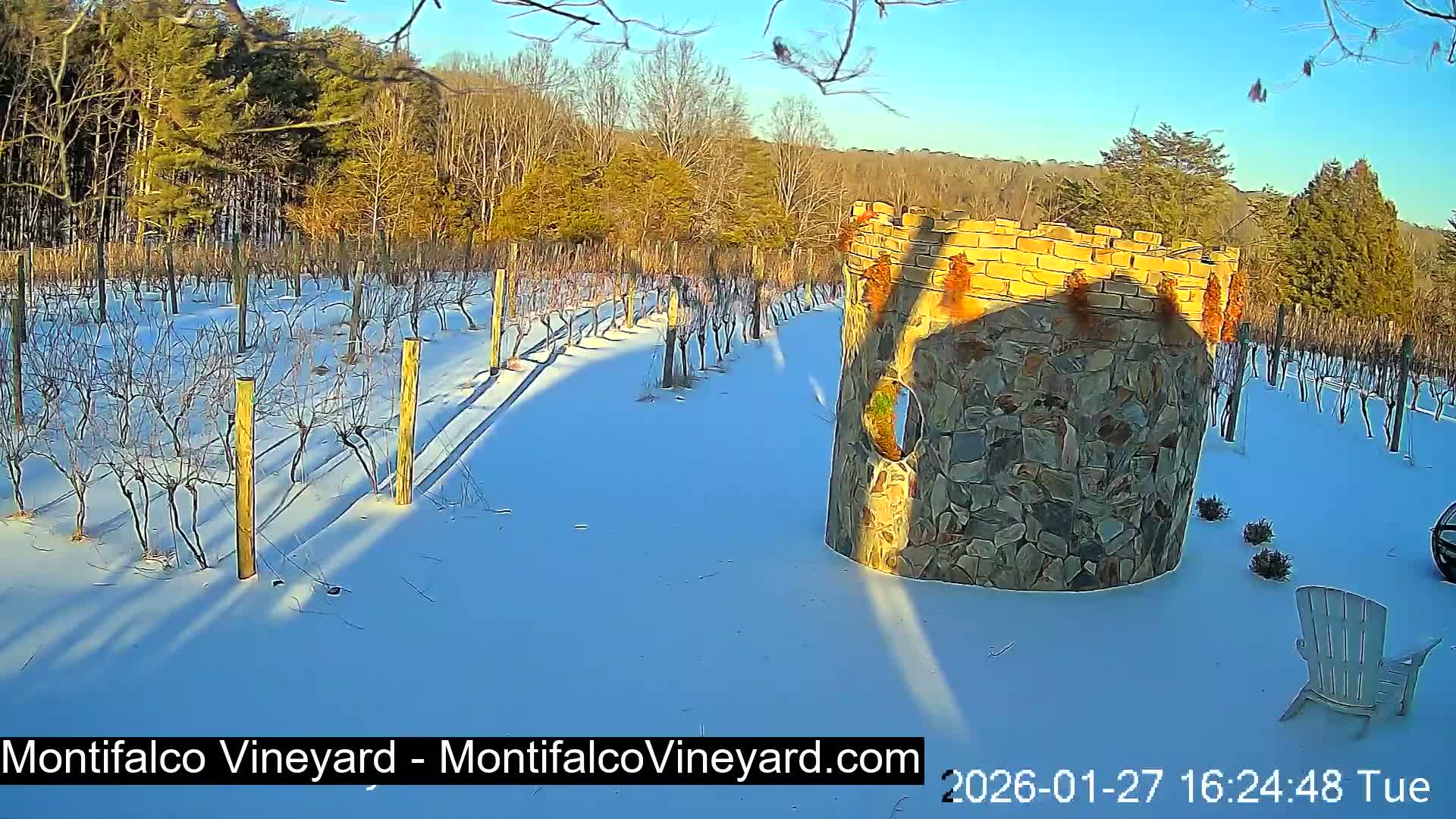 Virginia, Montifalco Vineyard Live Cam - Advance Mills, Albemarle, Virginia, USA