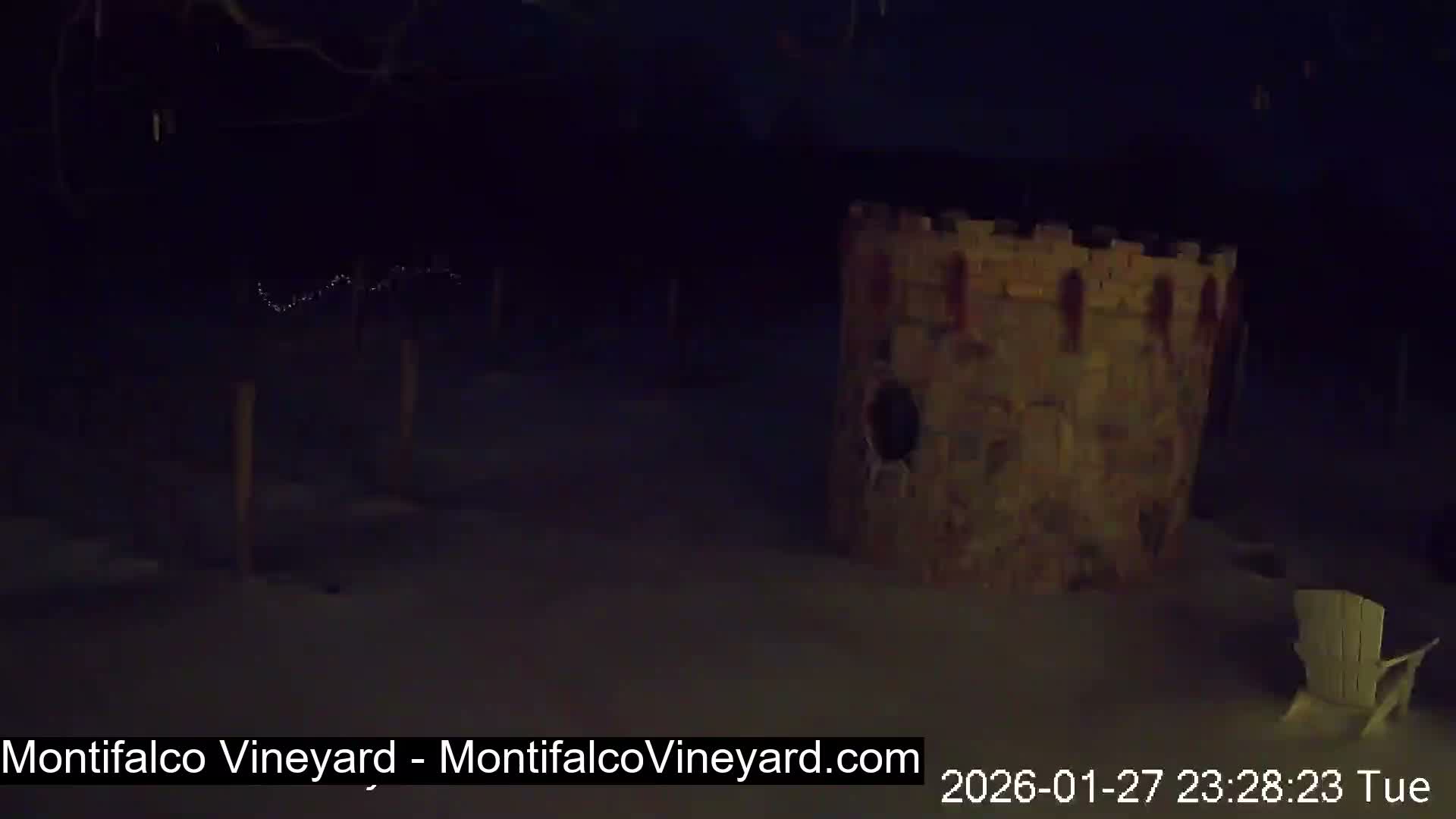Virginia, Montifalco Vineyard Live Cam - Advance Mills, Albemarle, Virginia, USA