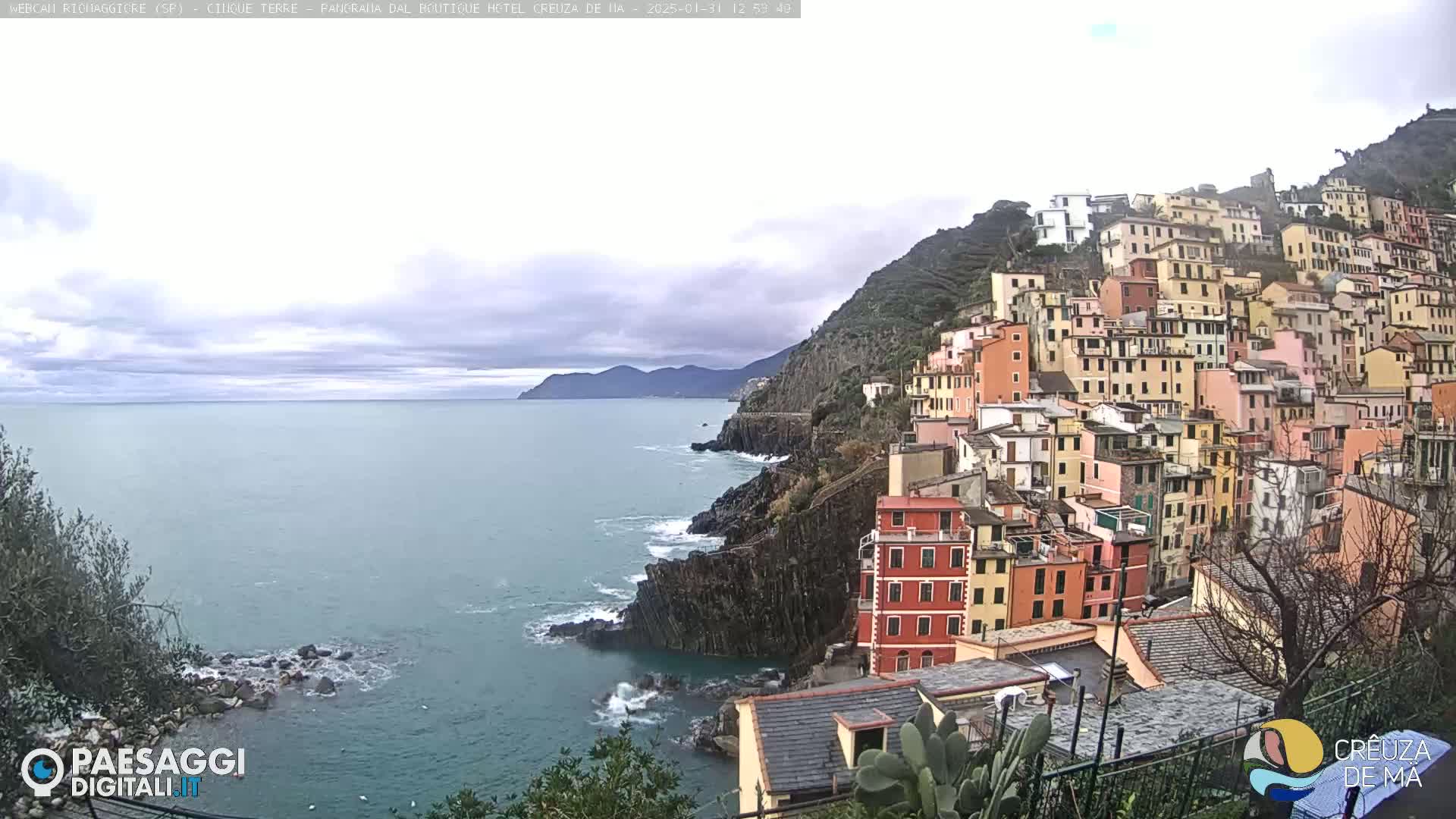 A colorful hillside village clings to a rocky coastline overlooking a calm, overcast sea.