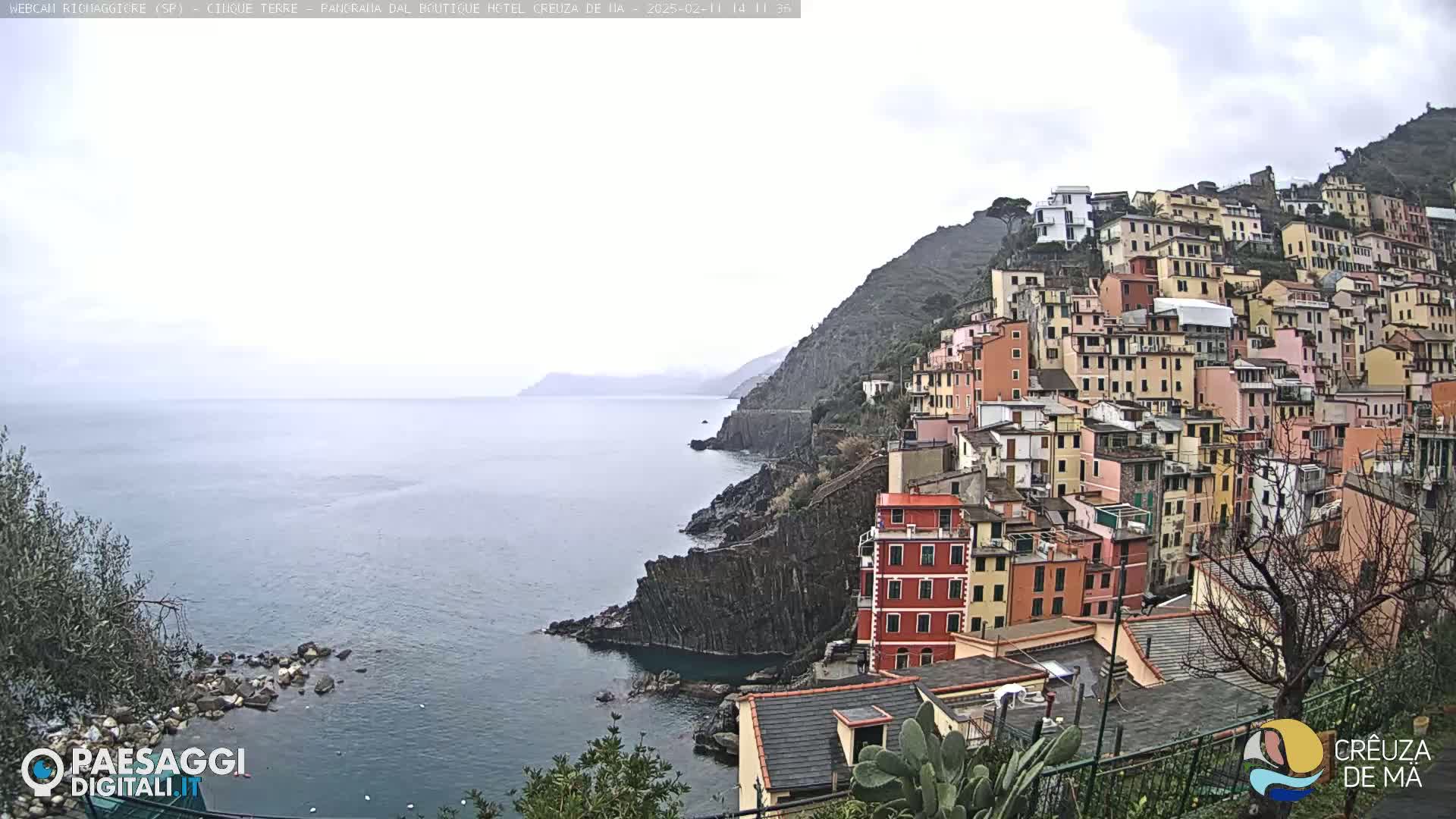 A coastal town of colorful buildings clings to a steep hillside overlooking a calm, gray sea under an overcast sky.