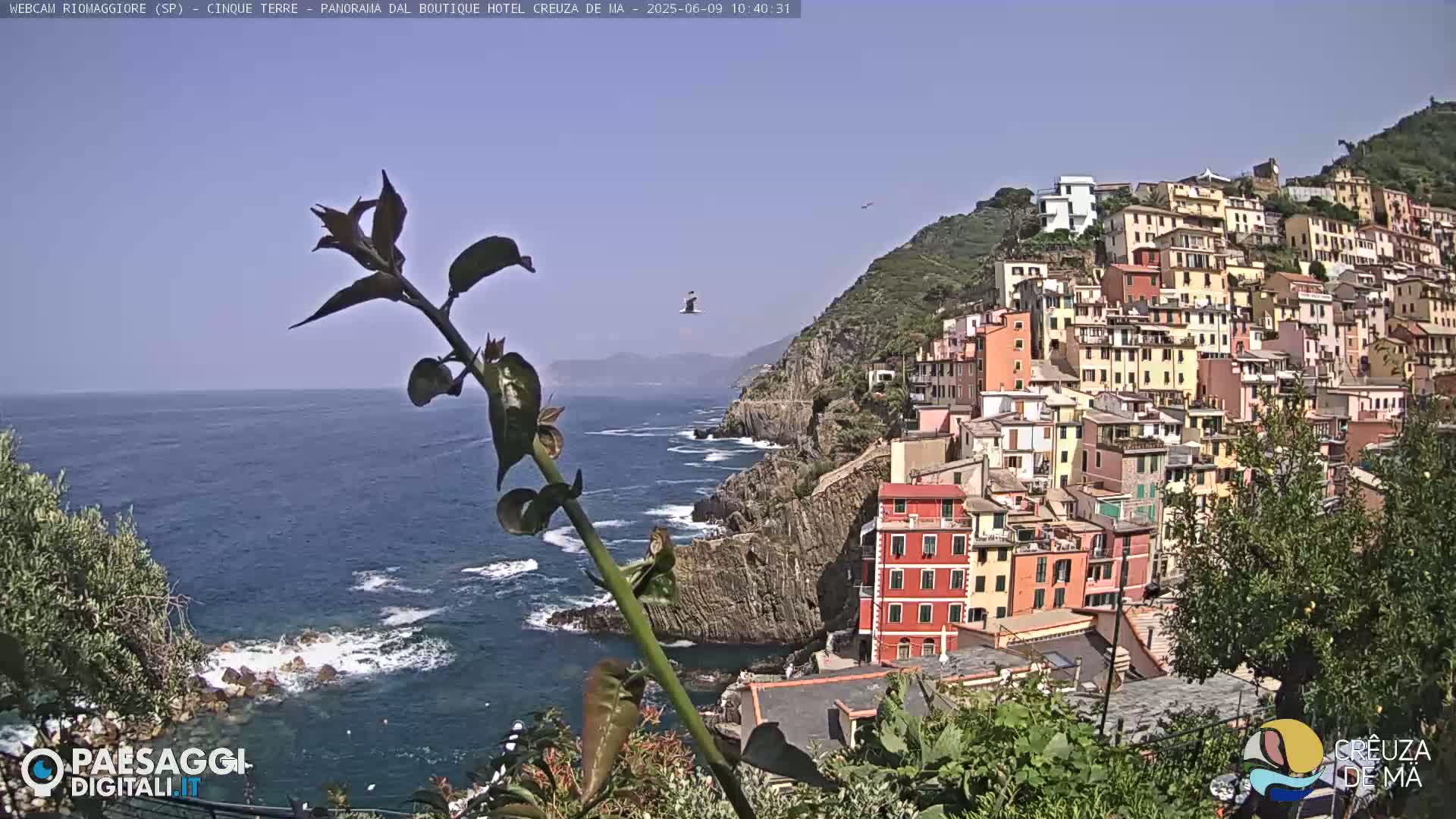 A coastal village of colorful buildings clings to a hillside overlooking a blue sea under a clear sky.