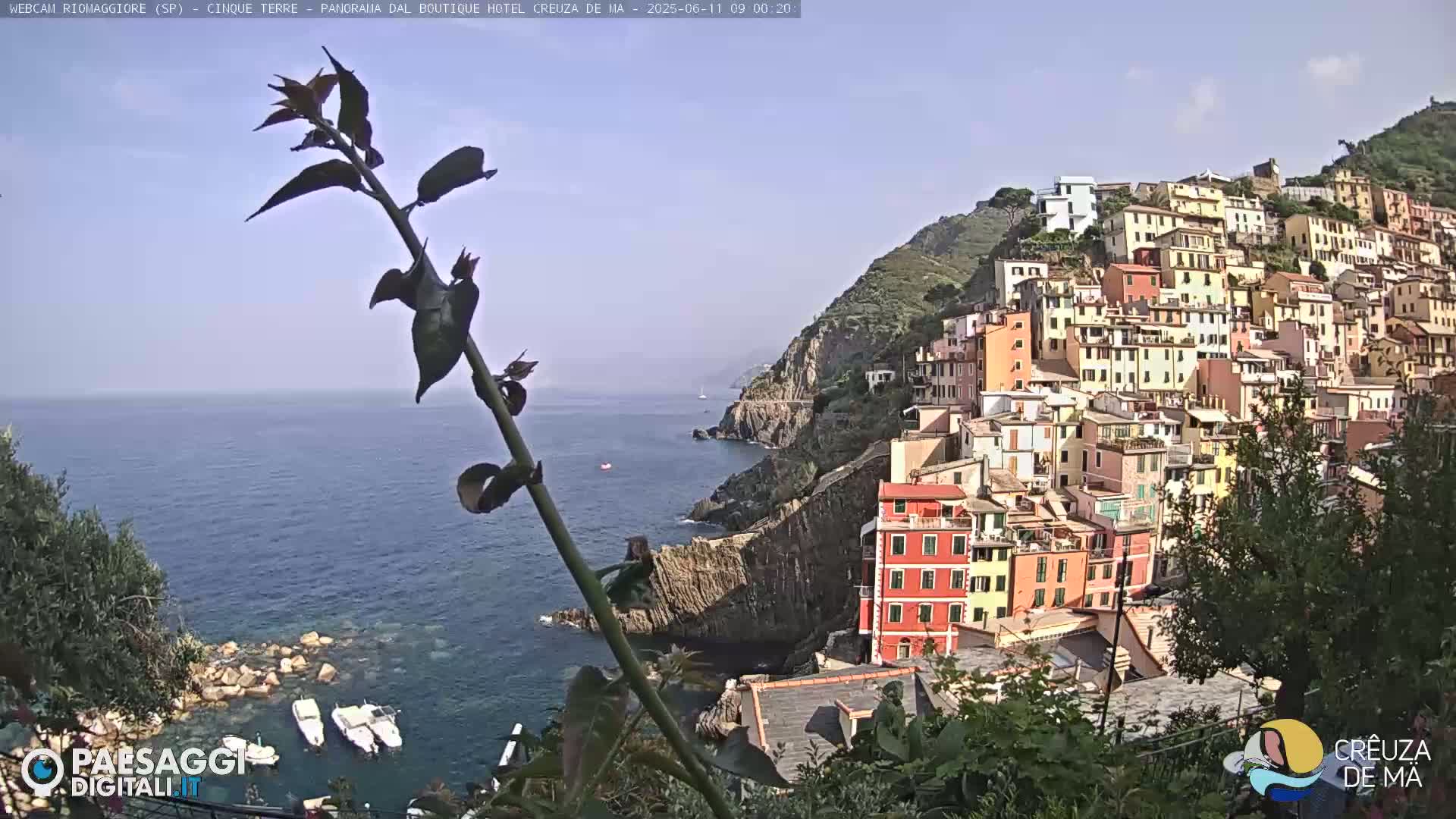 A coastal village of colorful buildings climbs a hillside overlooking a calm blue sea with a few boats, partially obscured by a plant in the foreground under a clear sky.