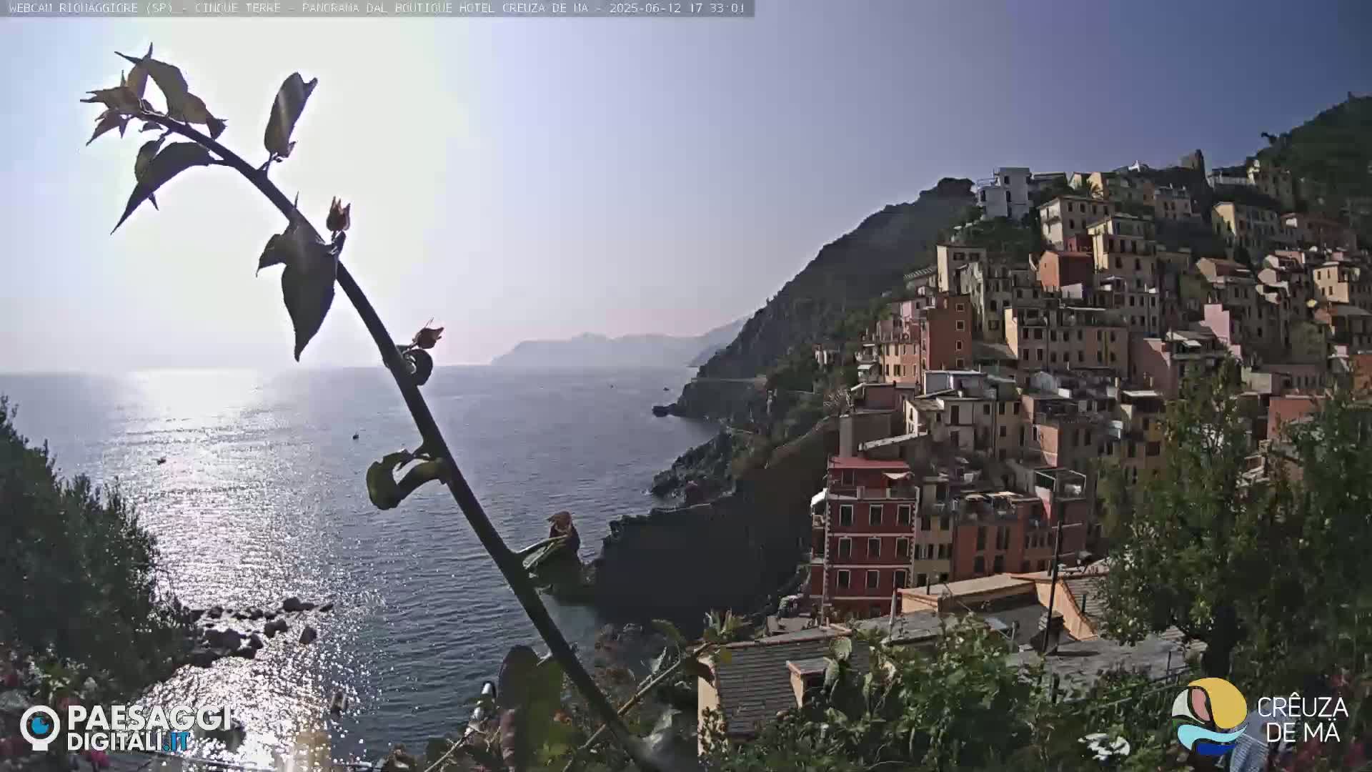A brightly lit coastal village clings to a hillside overlooking a sparkling sea, partially obscured by a slender, leafed branch in the foreground.
