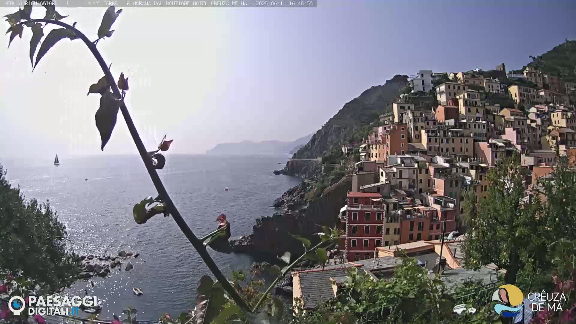 A coastal village of colorful buildings clings to a hillside overlooking a calm sea on a sunny day, partially obscured by a plant in the foreground.