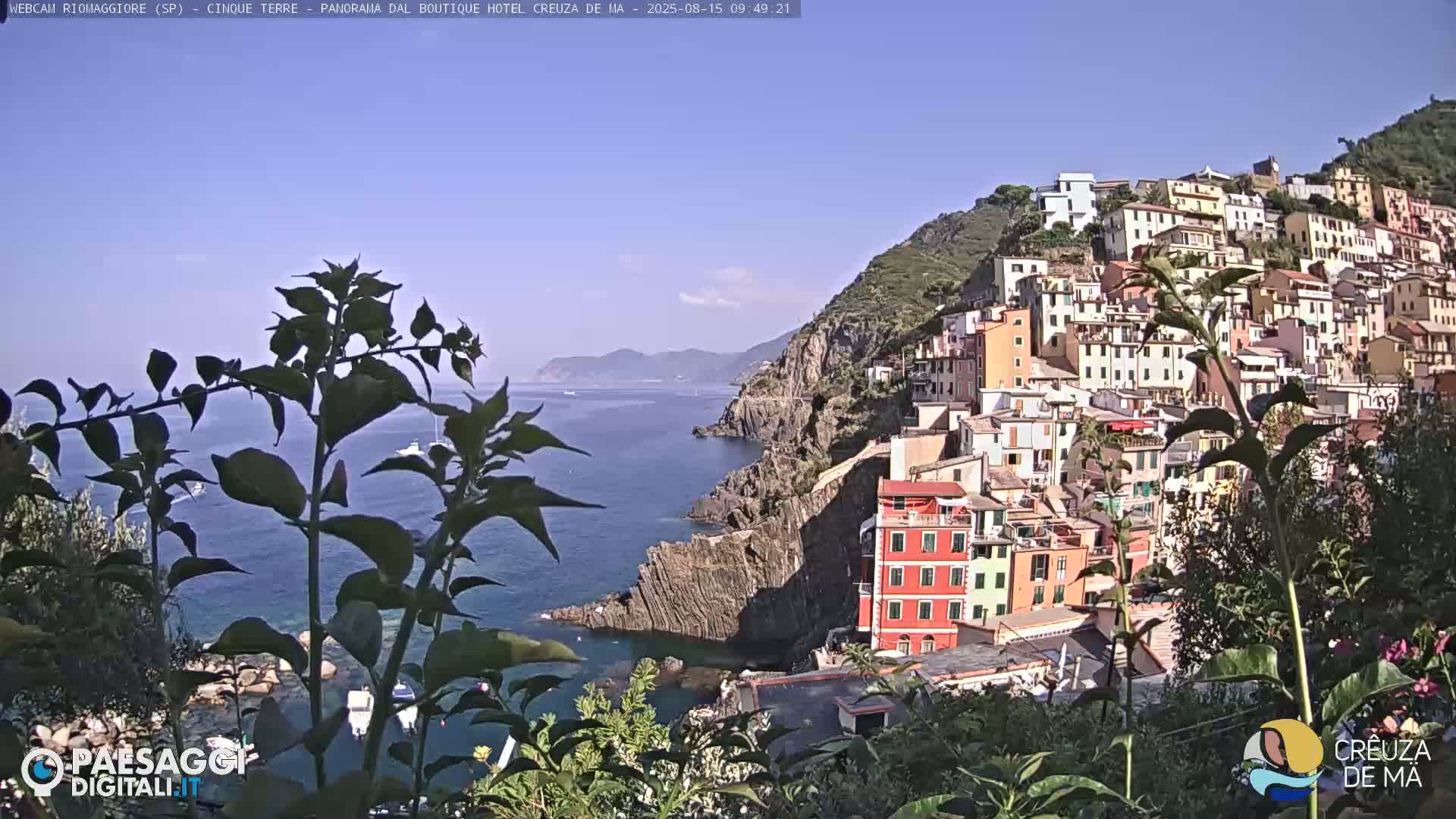 A hillside village of colorful buildings overlooks a calm blue sea on a clear, sunny day, partially obscured by foreground foliage.