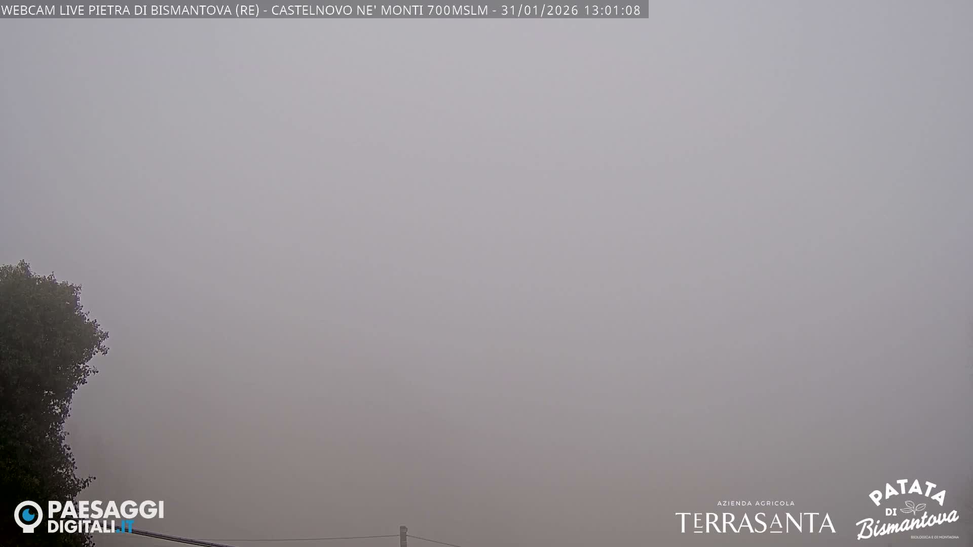  Pietra di Bismantova (Stone of Bismantova) Hill  & Castelnovo ne' Monti Comune Live Cam - Quarqua, Castelnovo ne' Monti, Reggia Emilia, Emilia-Romagna, Italy
