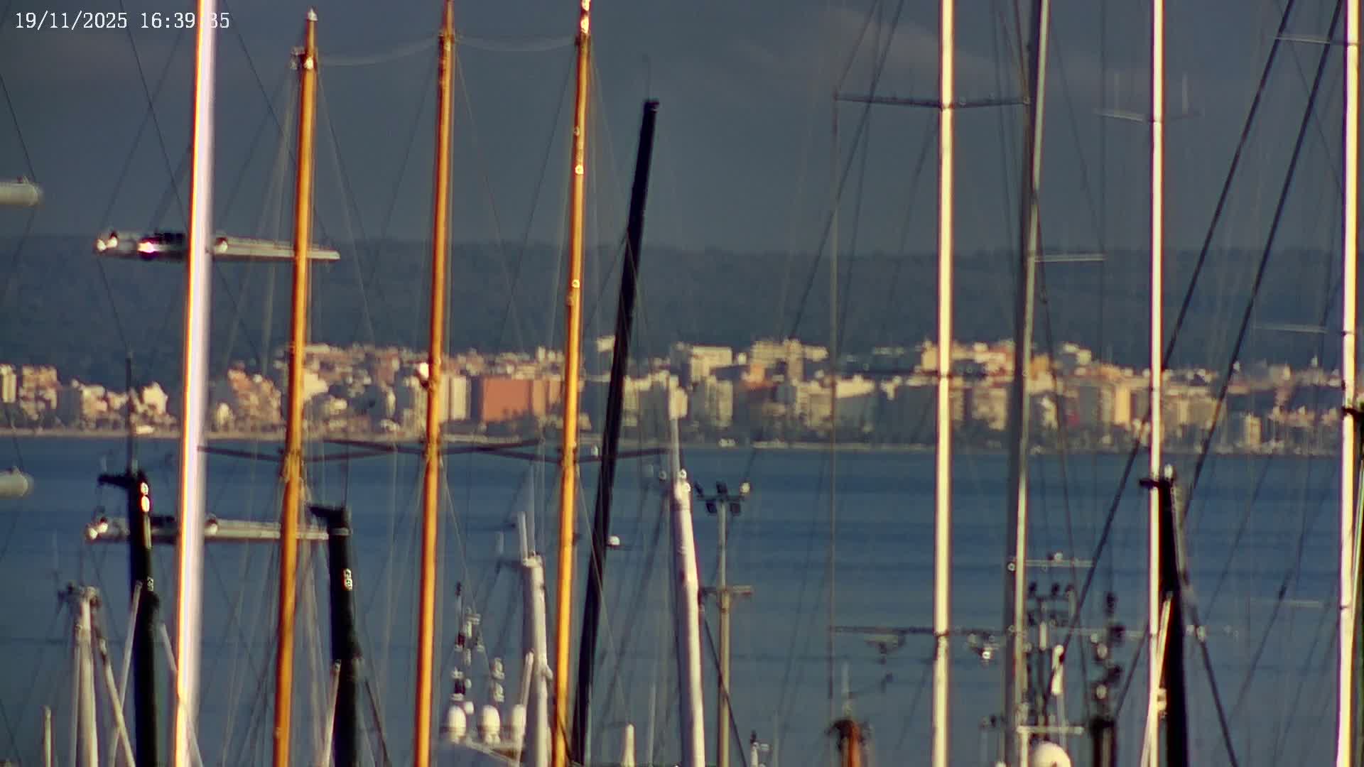 A majestic Gothic cathedral overlooks a bustling marina with numerous sailboats and yachts, surrounded by city buildings and palm trees, all beneath a grey, overcast sky.