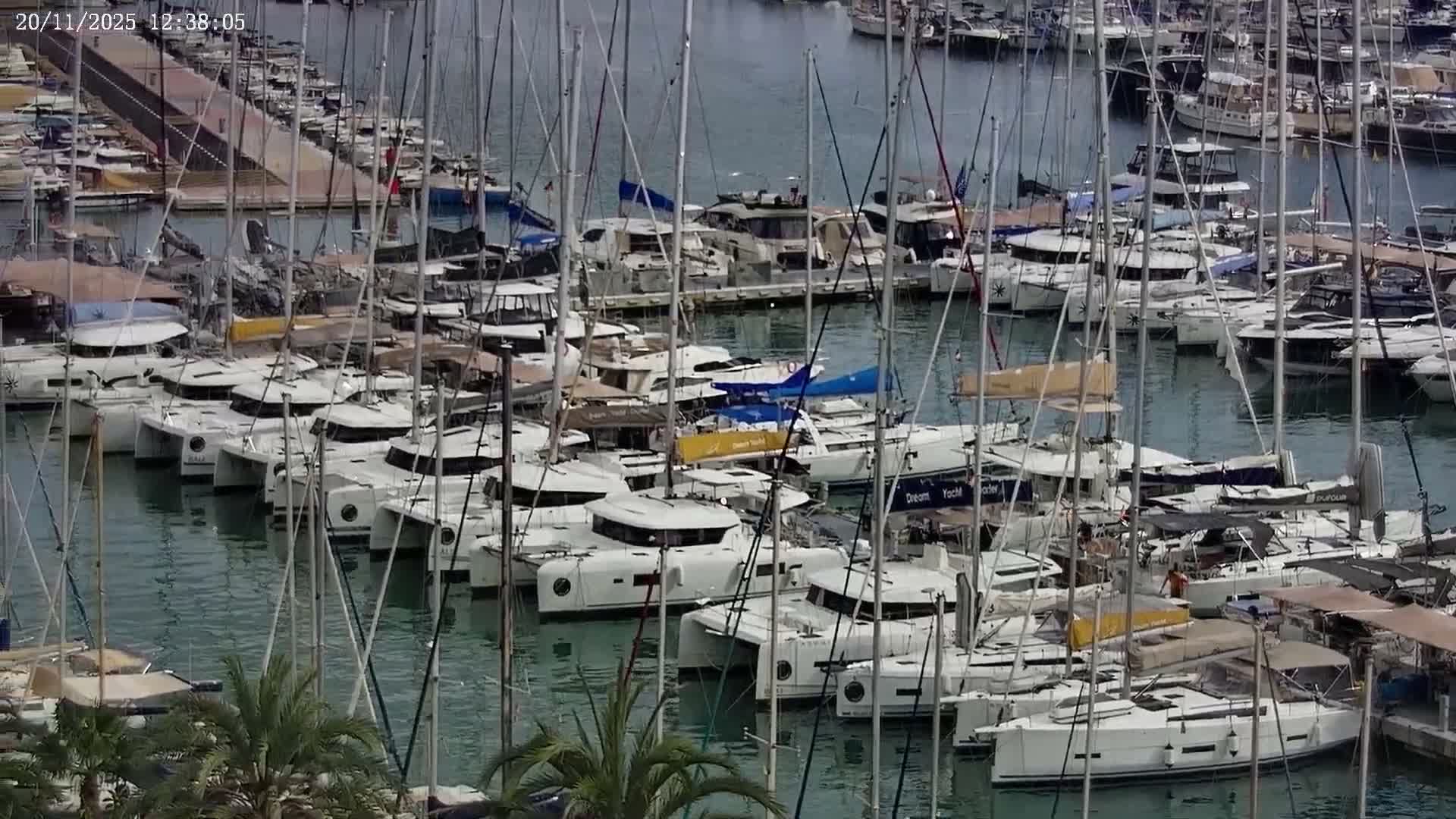 Palma de Mallorca, Paseo Maritimo (Av. de Gabriel Roca) & Marina Port de Mallorca Live Cam -Son Armadams, Ponent Discrict, Palma de Mallorca, Balearic Island, Spain