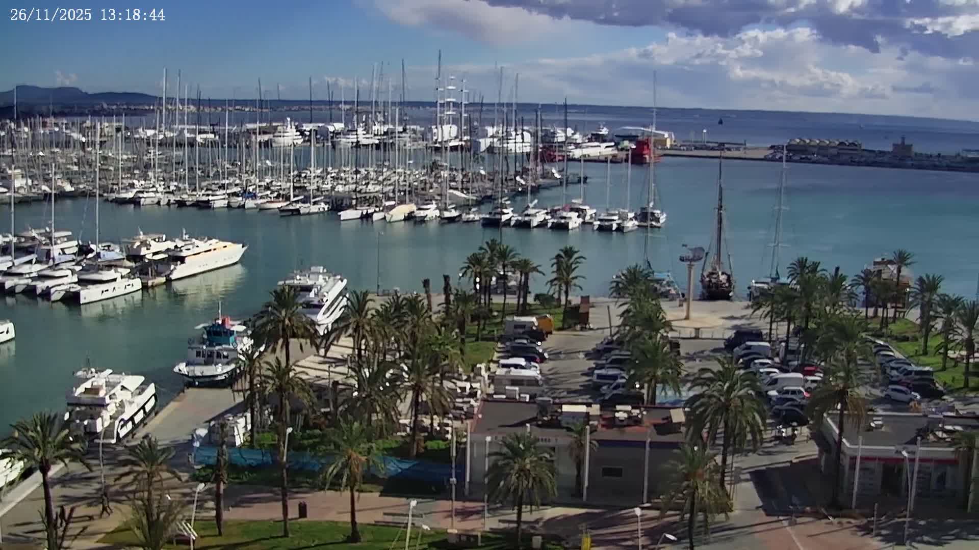 Numerous sailboats and yachts are densely packed in a calm, blue-green harbor under a hazy but bright sky, with a distant coastline and hills visible in the background.