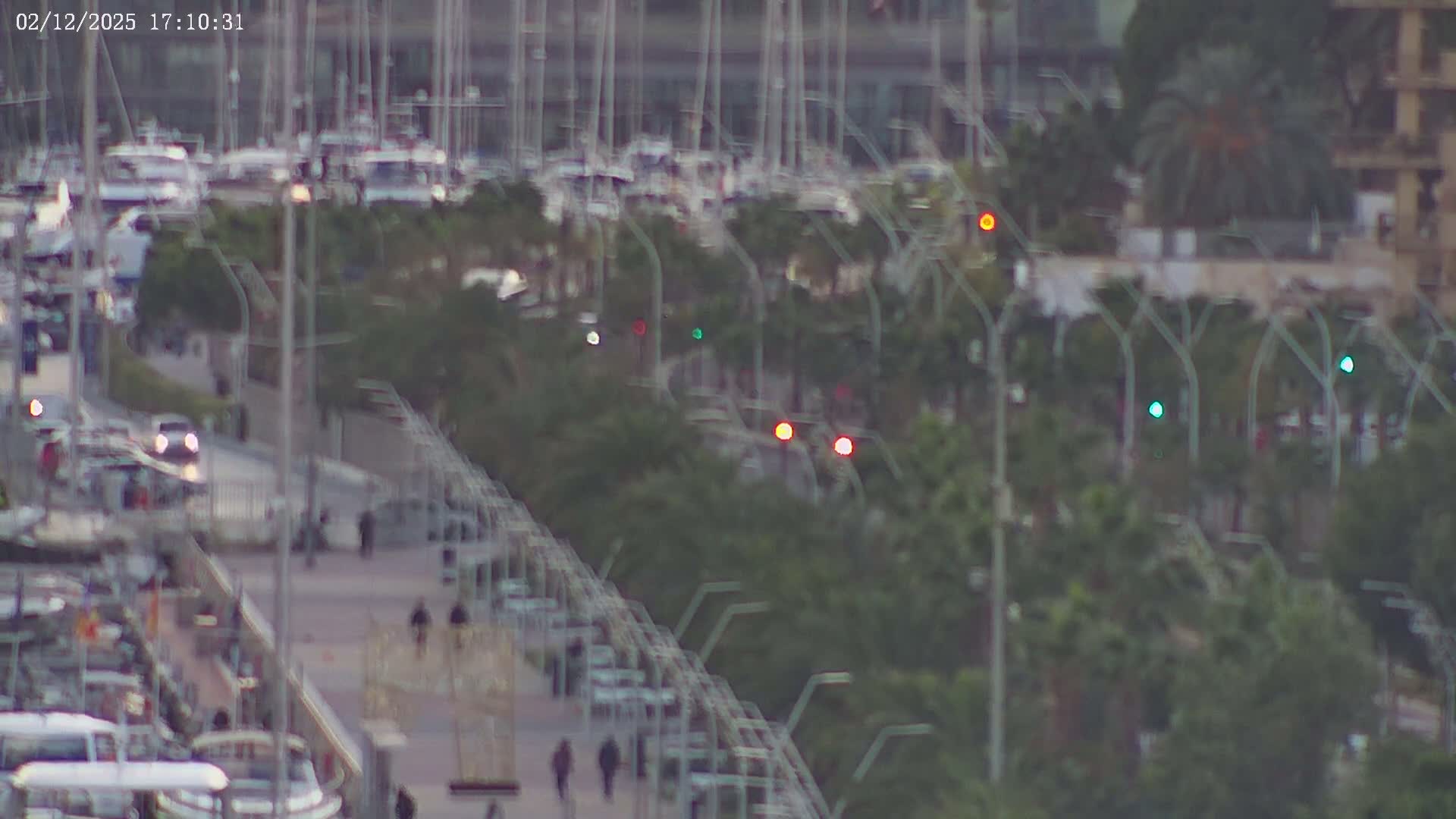 A bustling waterfront scene at dusk shows a marina filled with numerous boats, a tree-lined promenade with pedestrians and a car, and many illuminated streetlights.