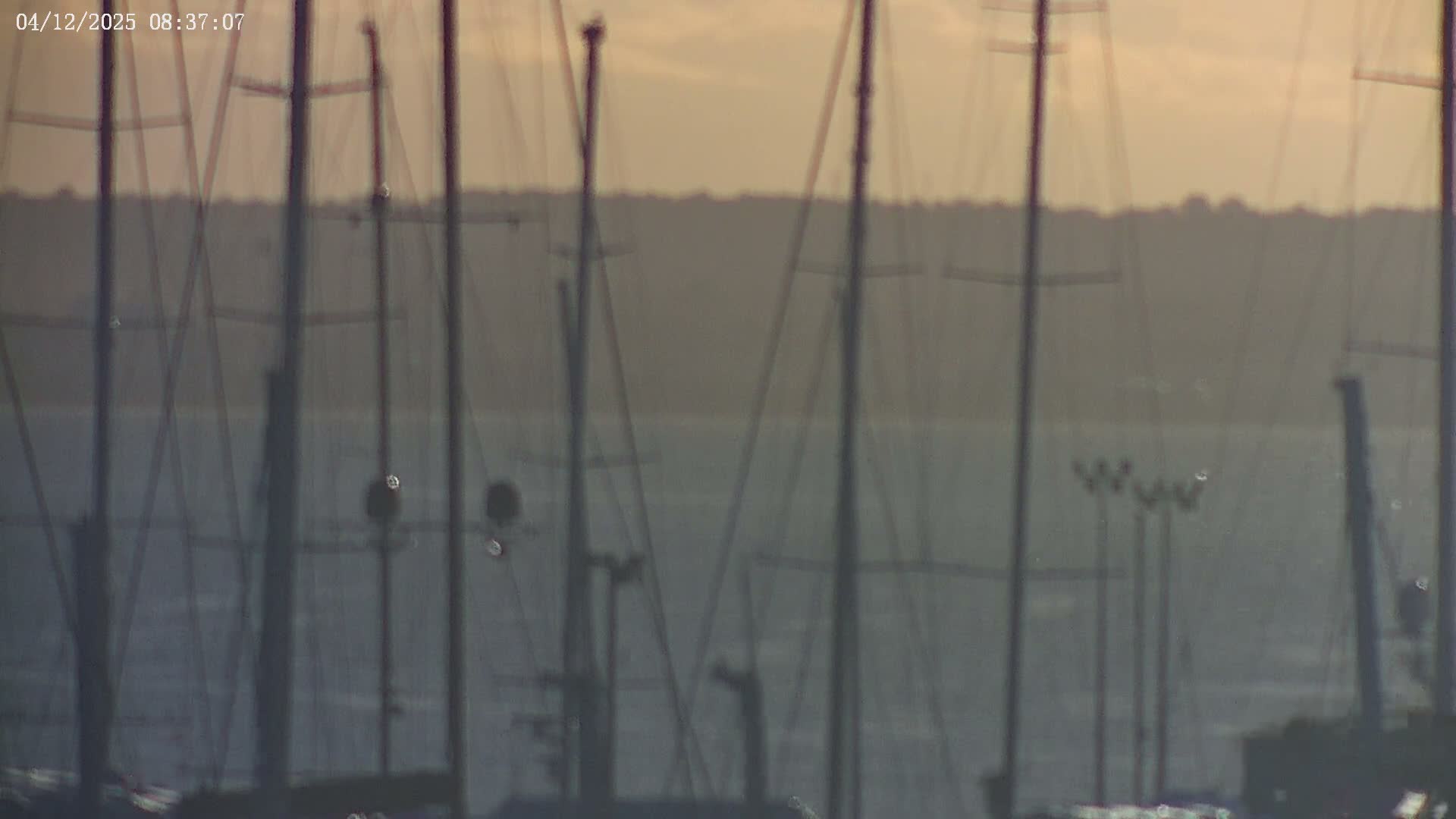 Palma de Mallorca, Paseo Maritimo (Av. de Gabriel Roca) & Marina Port de Mallorca Live Cam -Son Armadams, Ponent Discrict, Palma de Mallorca, Balearic Island, Spain