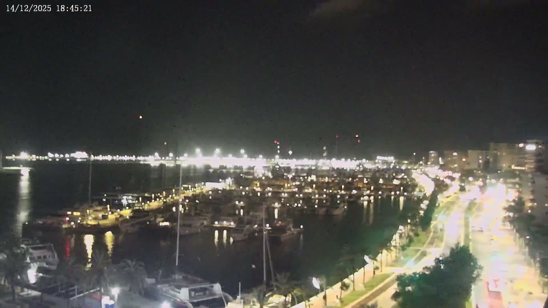 A vast marina packed with white yachts and sailboats stretches towards a city skyline featuring a prominent cathedral, all under a hazy sky, with palm trees framing the foreground.