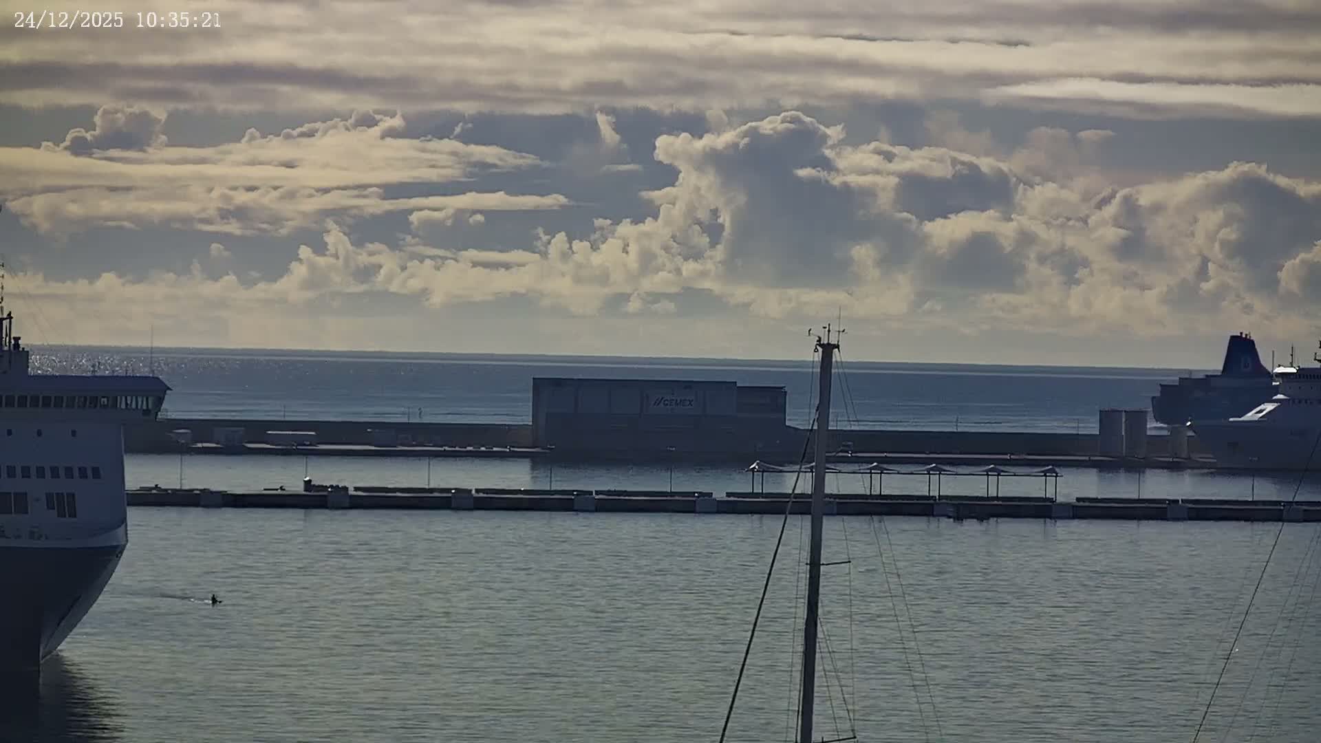 A vast marina packed with white yachts and sailboats stretches towards a city skyline featuring a prominent cathedral, all under a hazy sky, with palm trees framing the foreground.