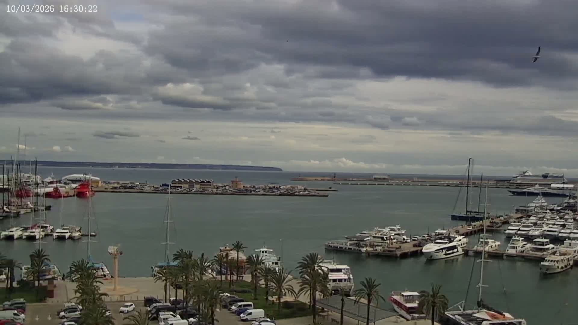 Palma de Mallorca, Paseo Maritimo (Av. de Gabriel Roca) & Marina Port de Mallorca Live Cam -Son Armadams, Ponent Discrict, Palma de Mallorca, Balearic Island, Spain