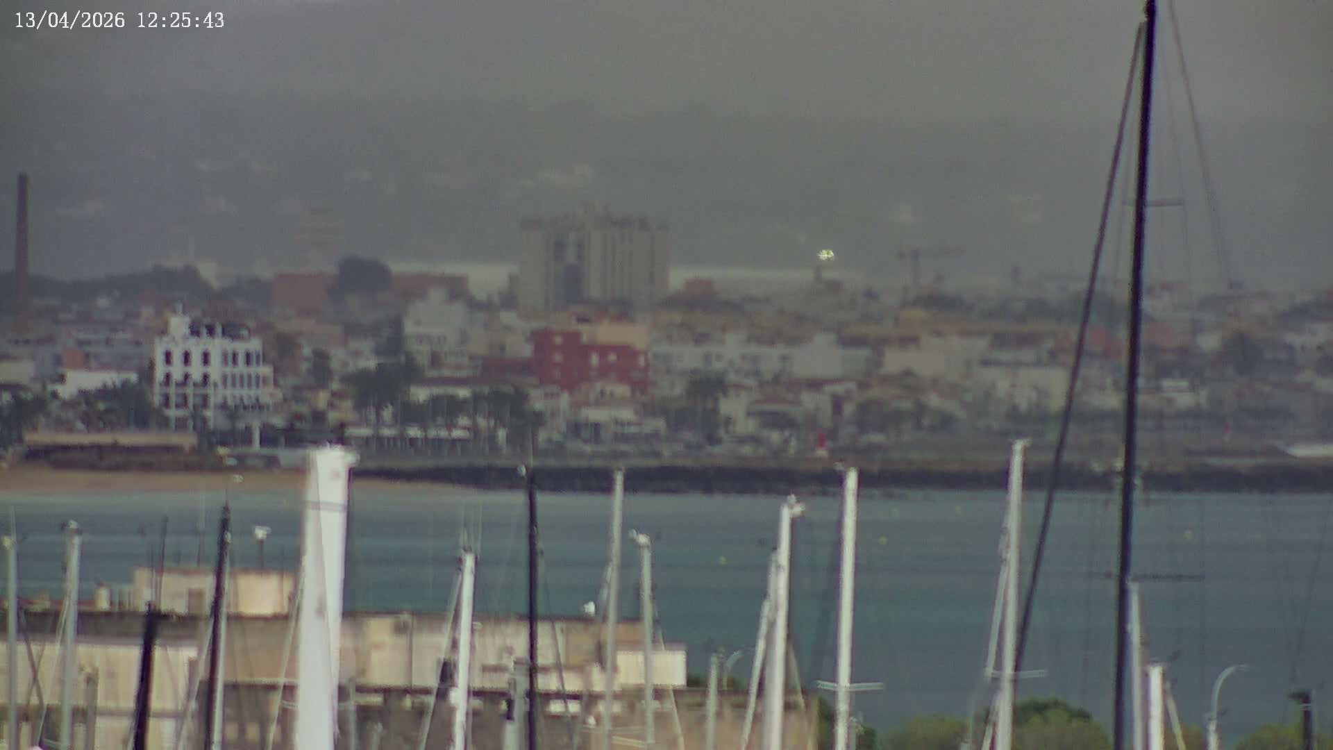 A vast marina packed with white yachts and sailboats stretches towards a city skyline featuring a prominent cathedral, all under a hazy sky, with palm trees framing the foreground.