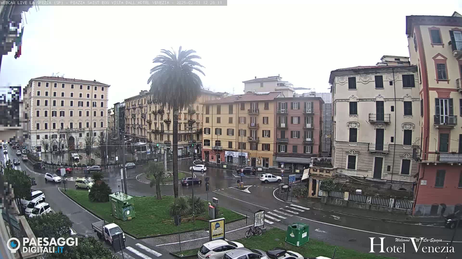 A rainy view of a city square in Italy, showing several multi-story buildings and a palm tree in the center of a roundabout.