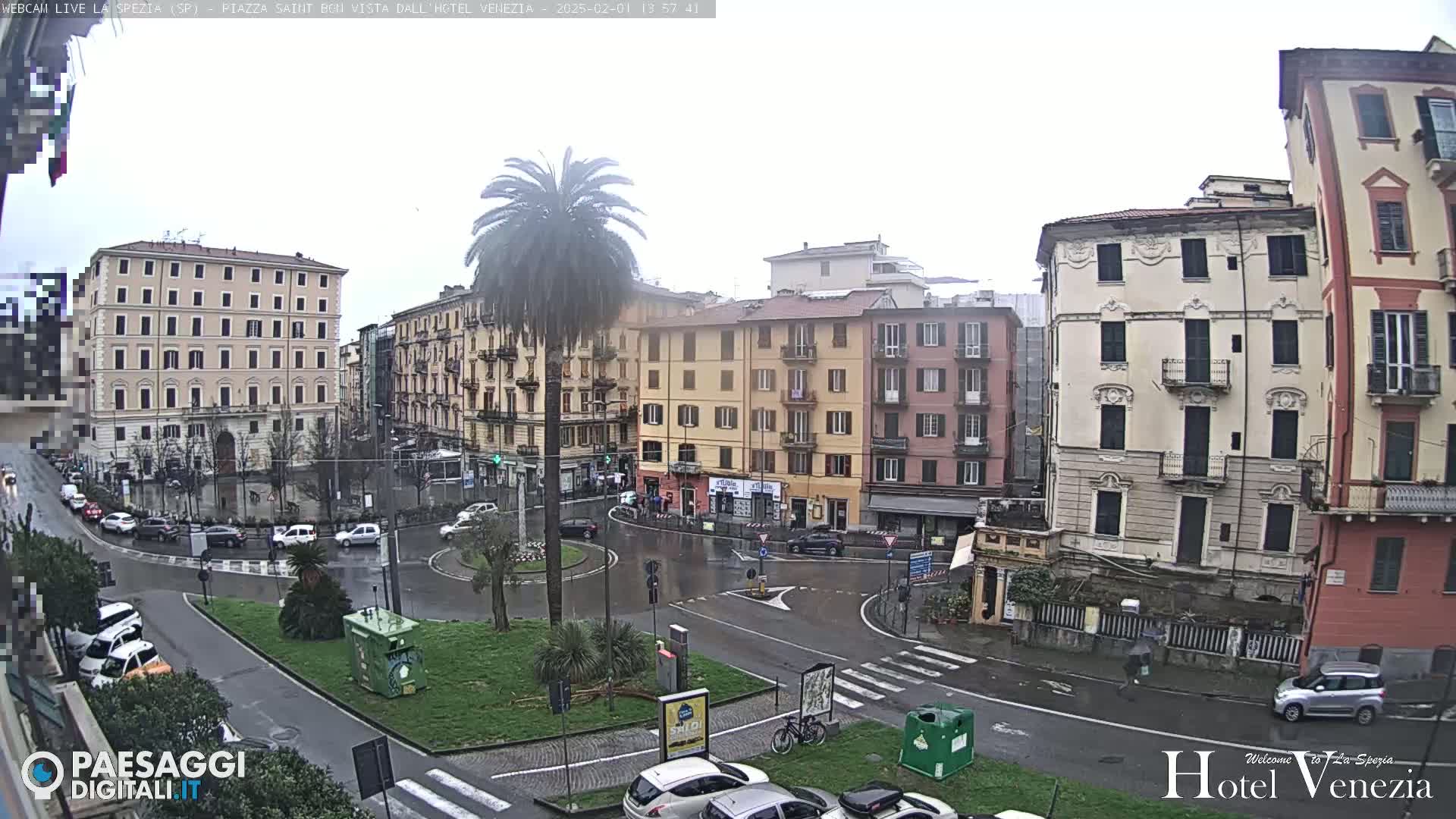 A rain-soaked city square is surrounded by multi-story buildings, a lone palm tree standing in the center of a roundabout where several cars are parked.