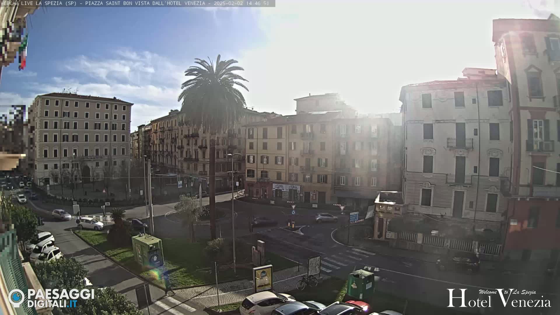 A sunny day in a city square surrounded by multi-story buildings, a lone palm tree stands in the center, with cars parked along the edges of the square.