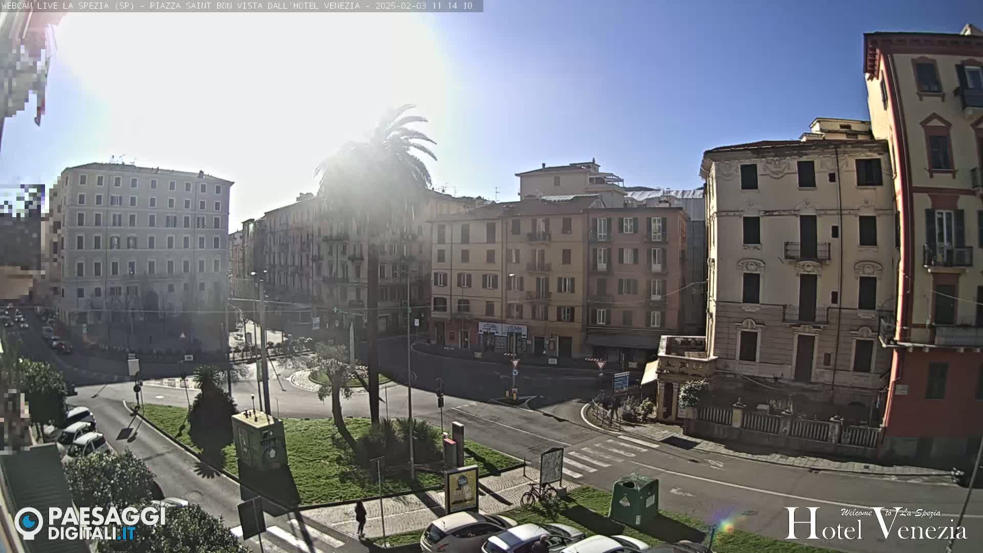 A sunny day reveals a city square surrounded by multi-story buildings, with cars parked along the streets and a lone palm tree in the center.