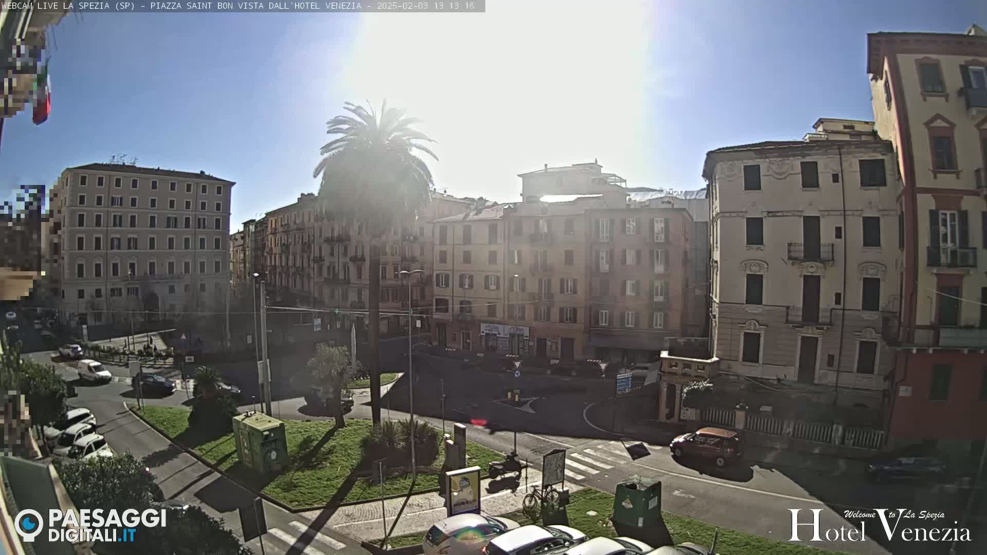 A sunny day in a city square with several multi-story buildings, cars, a palm tree, and some green spaces.