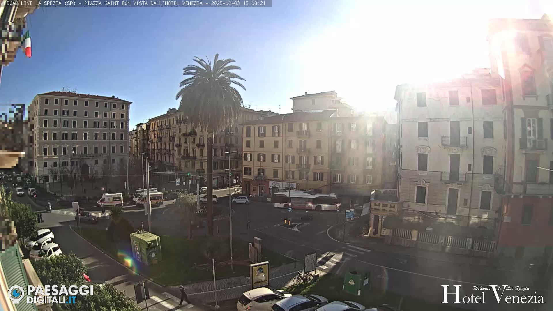 A sunny day in a European city square, showing several multi-story buildings, cars, and a lone palm tree, with some traffic visible.