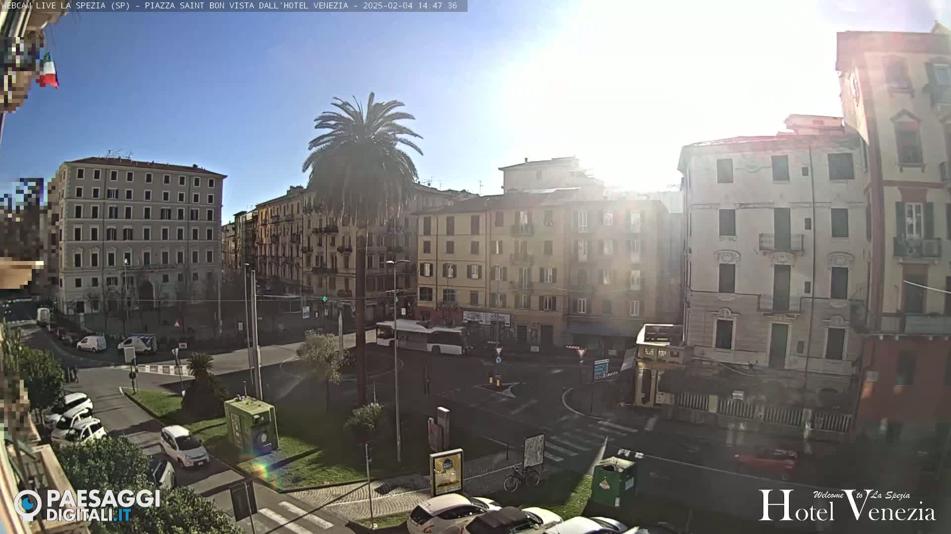 A sunny city square with several multi-story buildings, a palm tree, and a few cars and a bus.