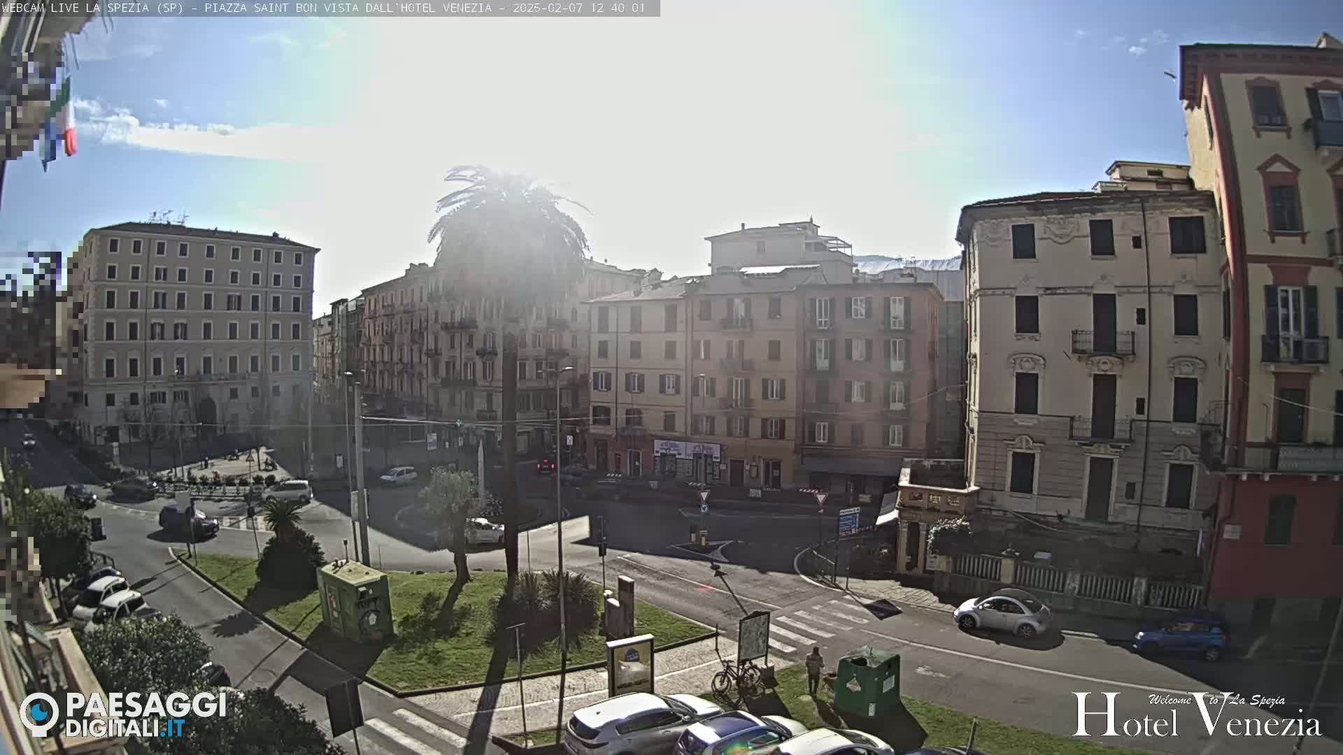 A sunny city square with several multi-story buildings, cars, and a lone palm tree in the center.
