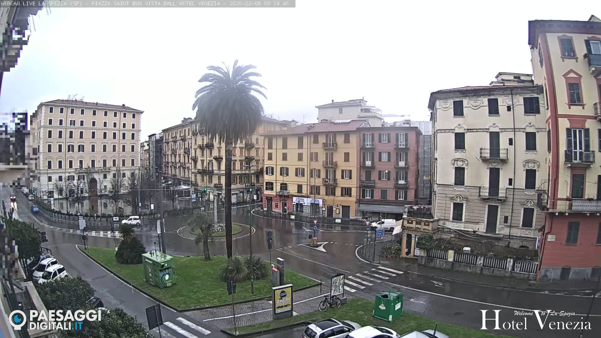 A wet, overcast city square is surrounded by multi-story buildings, a lone palm tree, and a few cars.