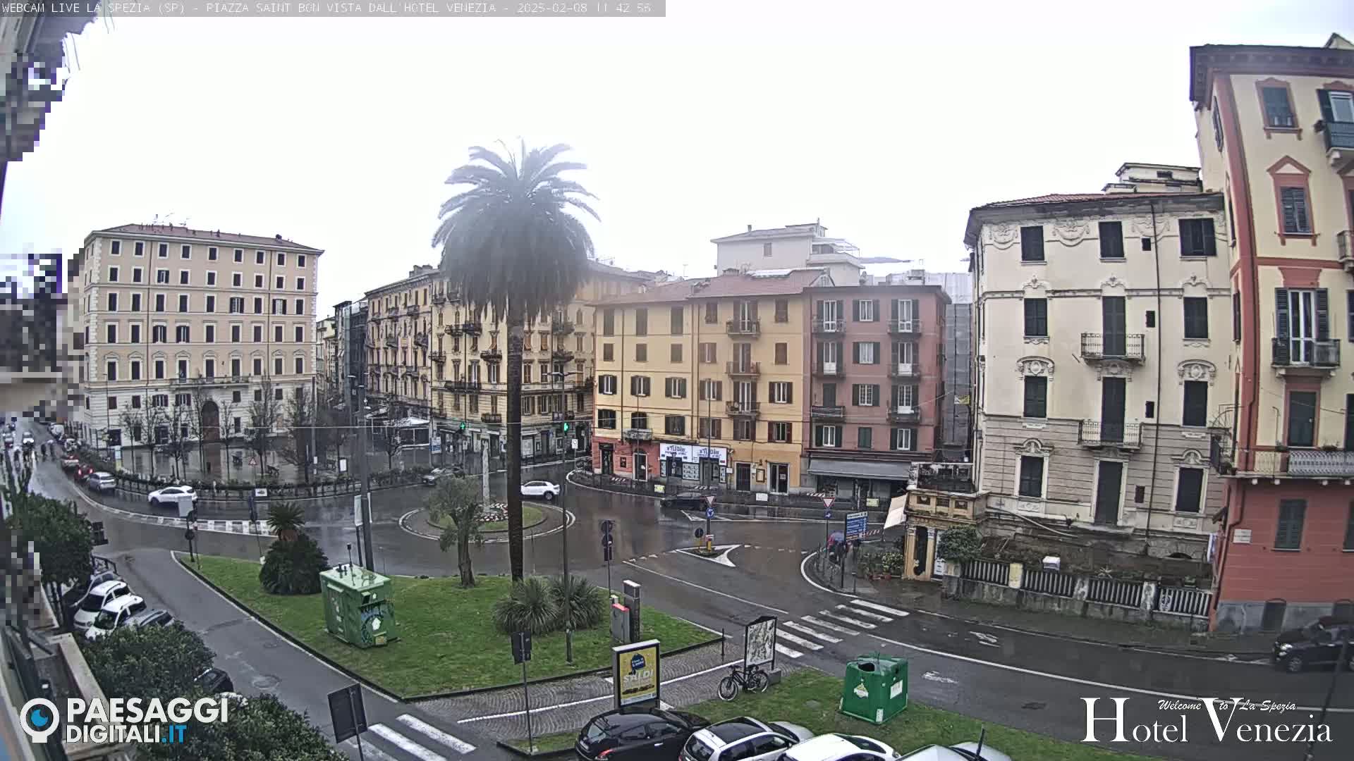 A rain-slicked city square in a European city is surrounded by multi-story buildings, with a lone palm tree in the center.