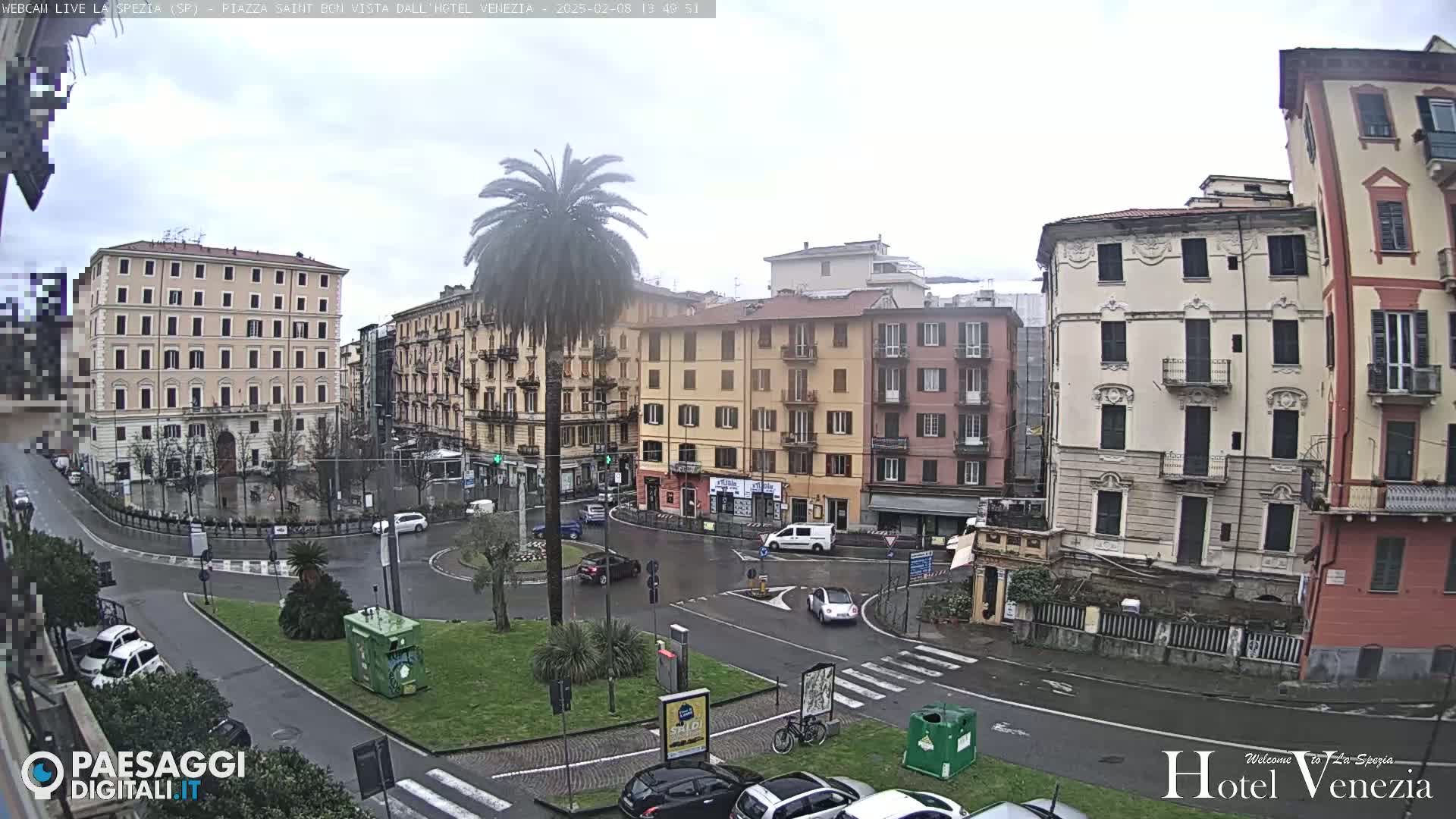 A wet city square with several multi-story buildings surrounding it, a palm tree in the center, and cars driving on the roads.