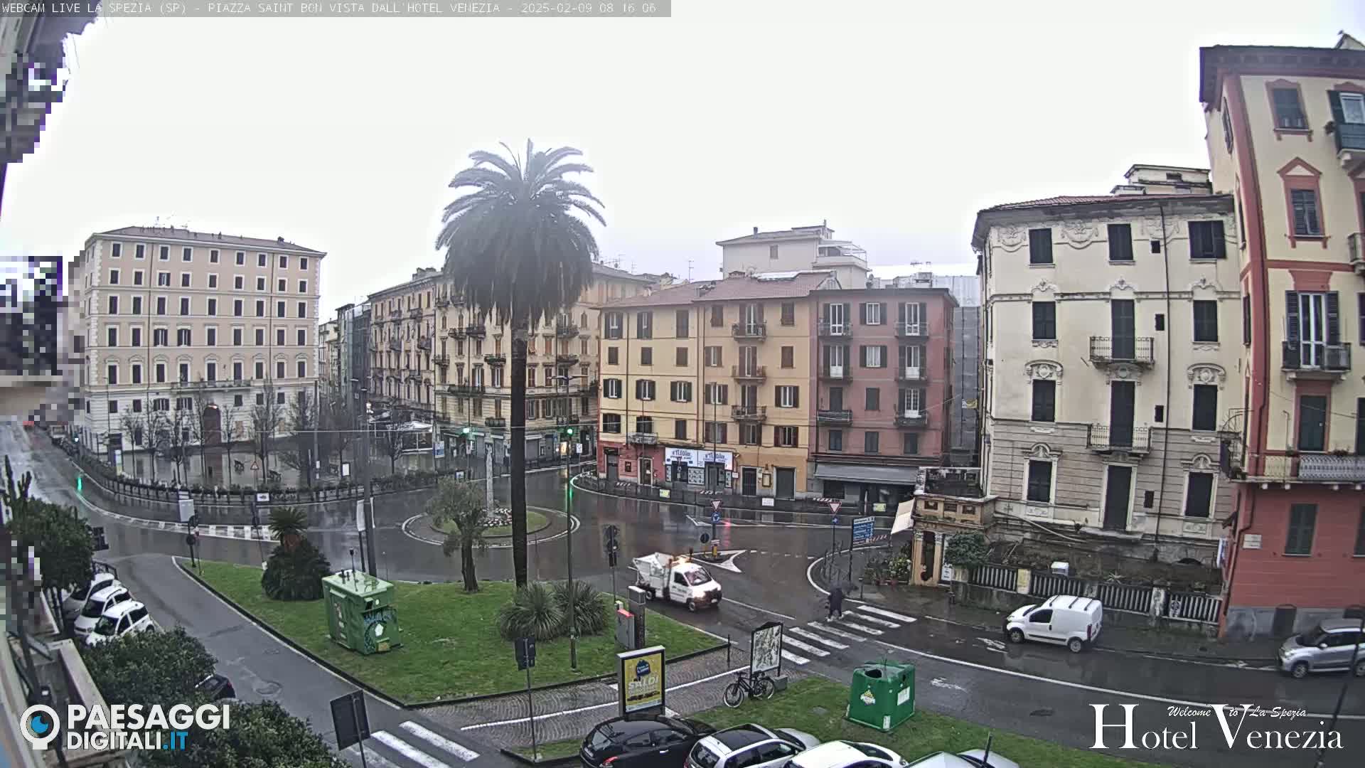 A rain-slicked, European city square is surrounded by multi-story buildings, a lone palm tree stands in a small circular park, and several vehicles are visible on the wet roads.