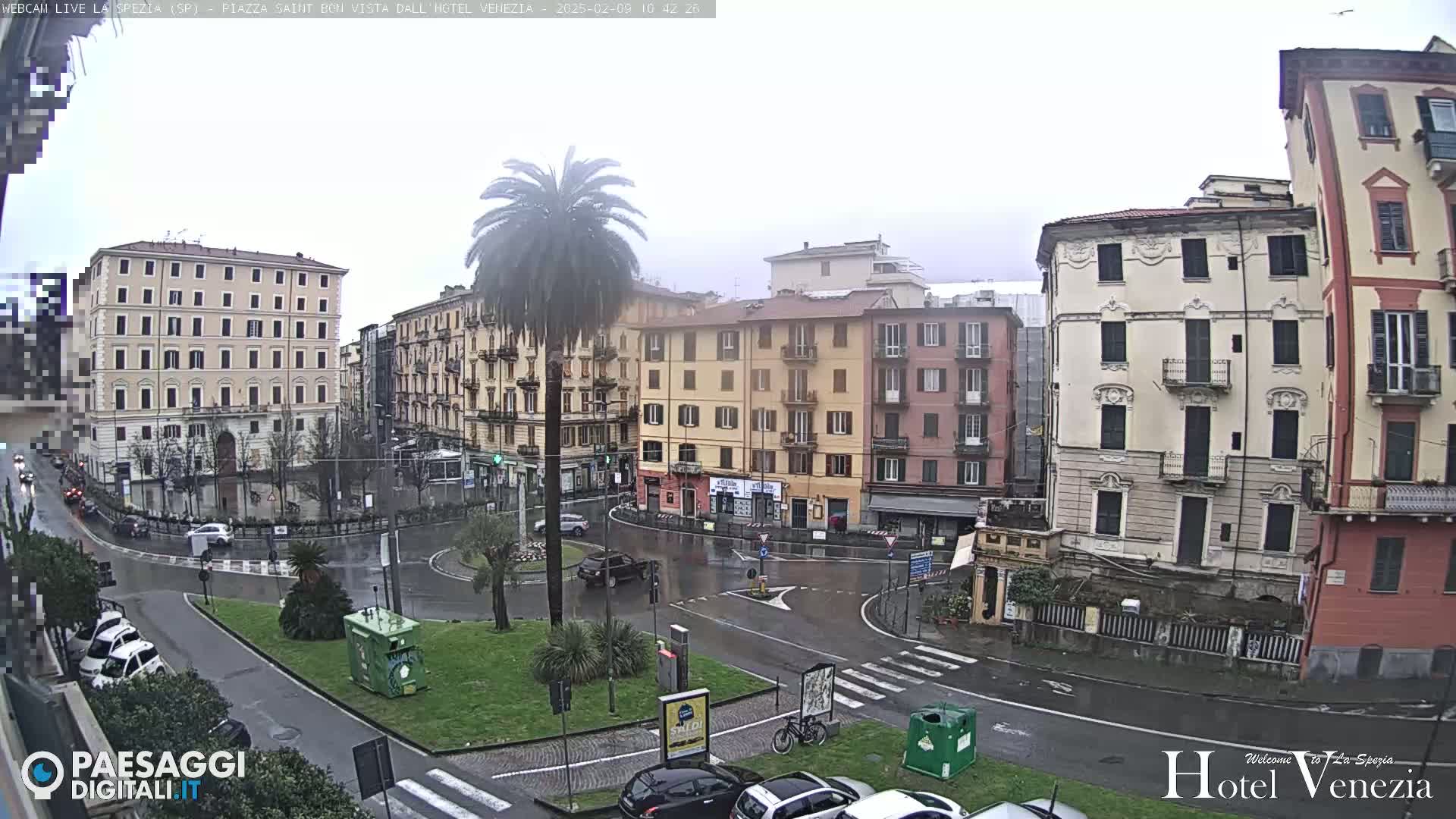 A wet, overcast city square is surrounded by multi-story buildings, a palm tree, and a few cars.