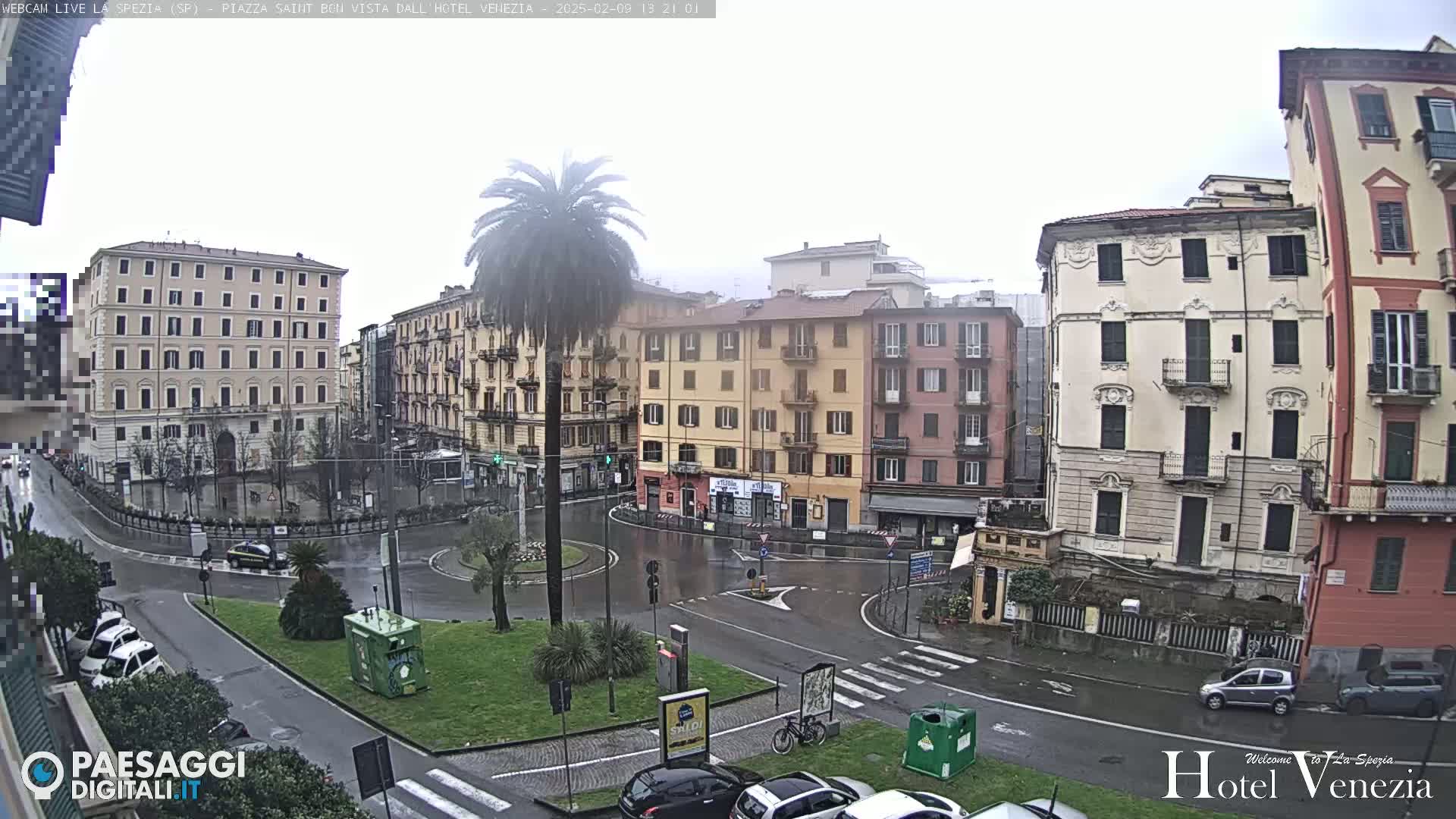 A wet, overcast city square is surrounded by multi-story buildings, a lone palm tree stands in the center of a roundabout, and several cars are parked along the curb.