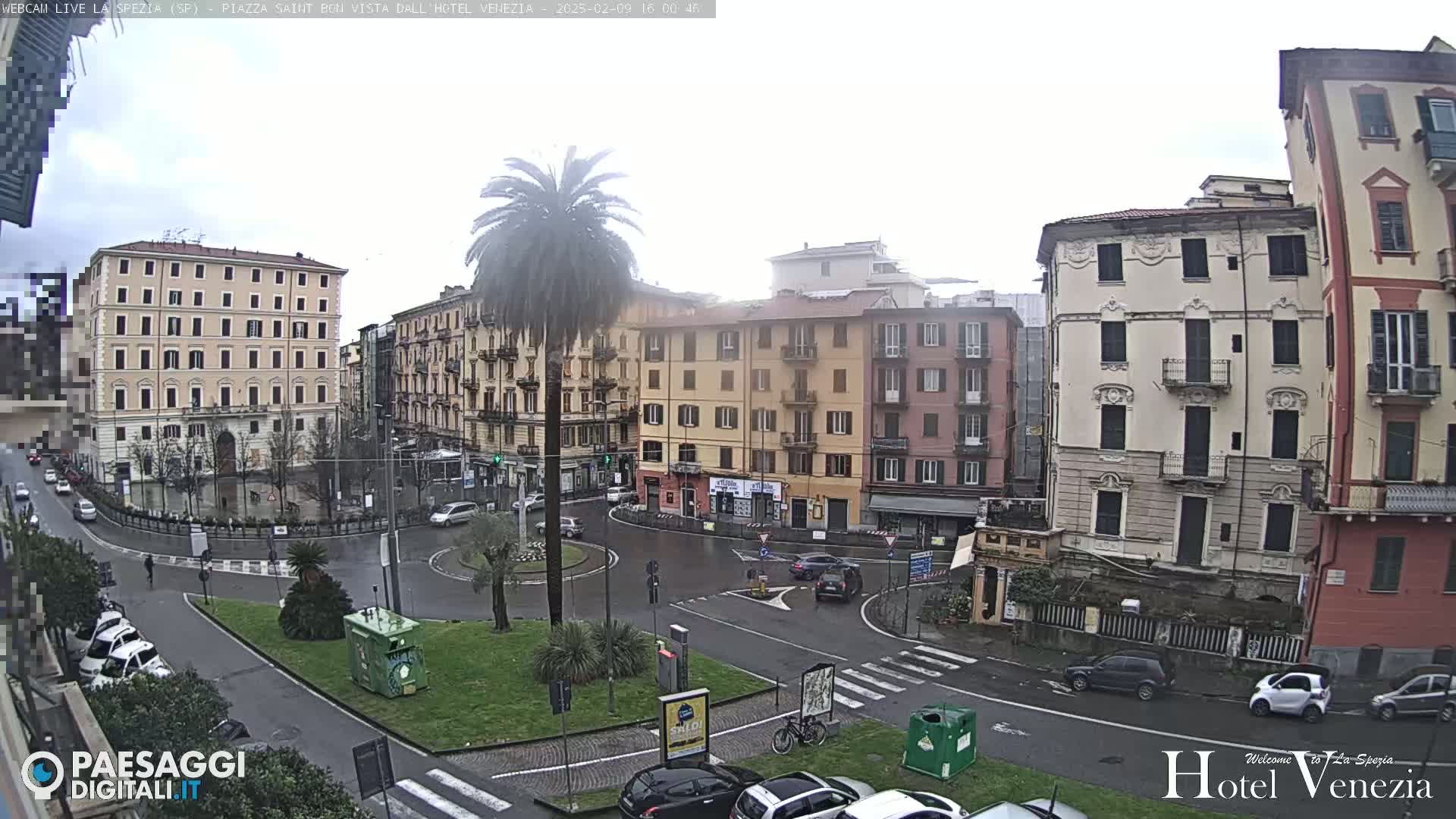 A wet city square in overcast conditions, surrounded by multi-story buildings and a lone palm tree in the center.