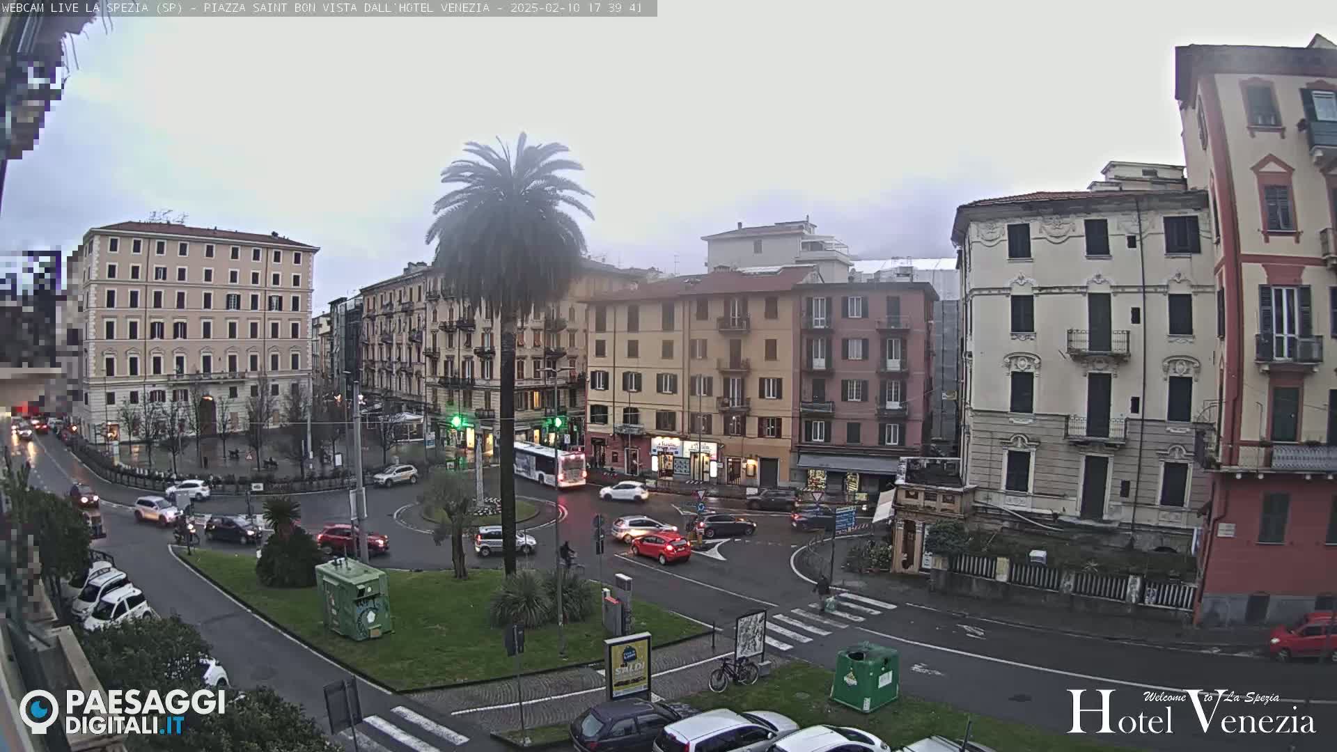 A city square with several multi-story buildings, a palm tree, and cars on a wet street under an overcast sky.