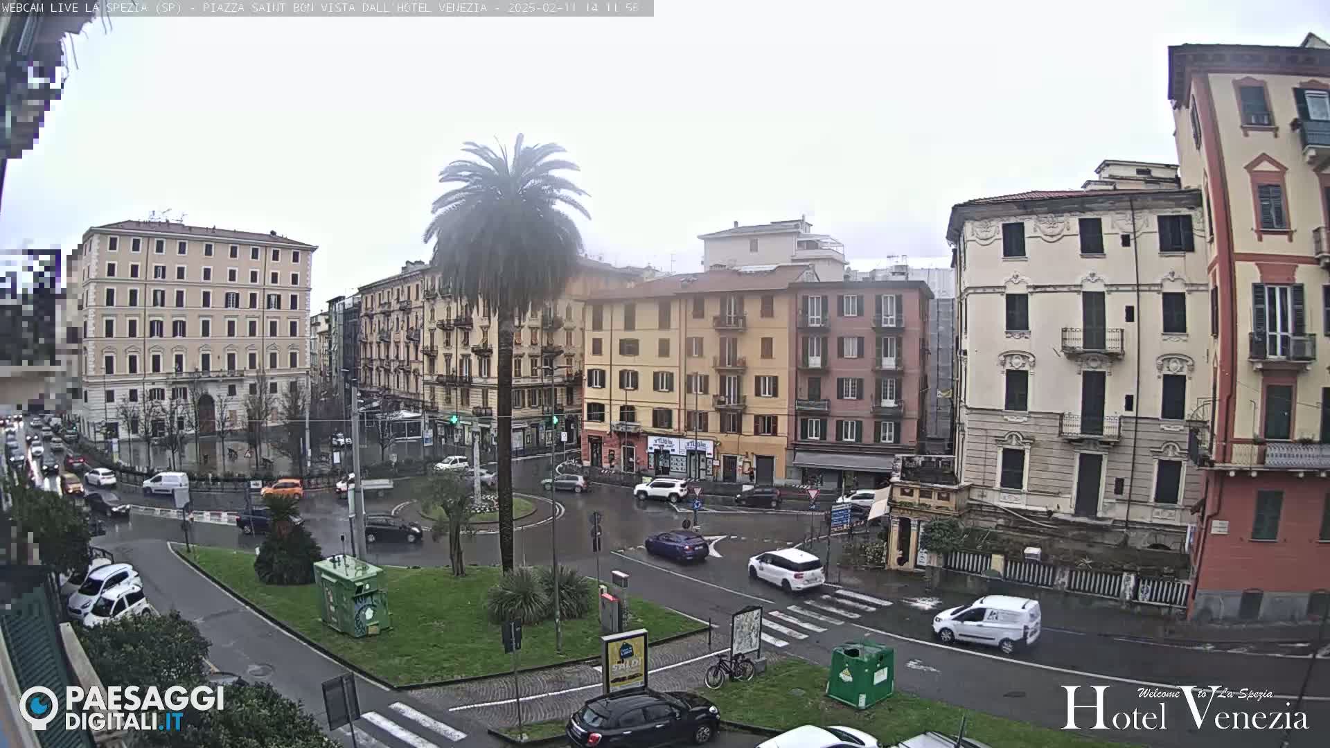 A rainy cityscape shows several multi-story buildings surrounding a traffic circle with cars and a palm tree in the center.