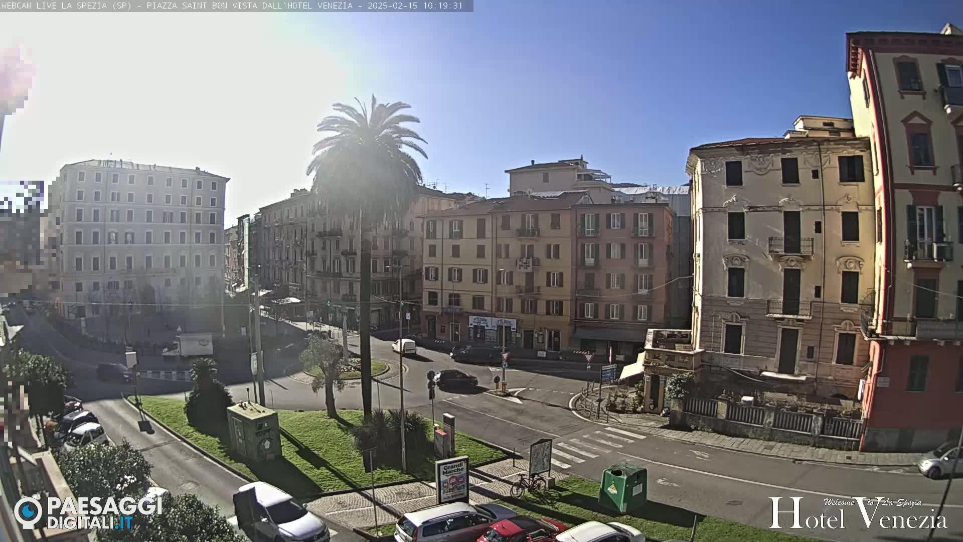 A sunny day reveals a city square with several multi-story buildings, cars parked and driving on the streets, and a lone palm tree in the center.