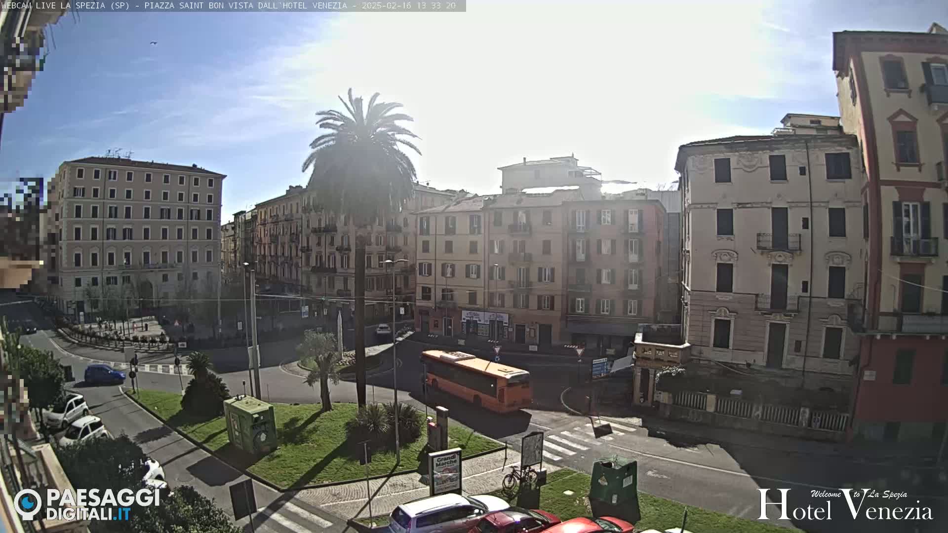 A sunny cityscape view shows several multi-story buildings surrounding a traffic circle with a palm tree in the center, a few cars, and an orange bus.