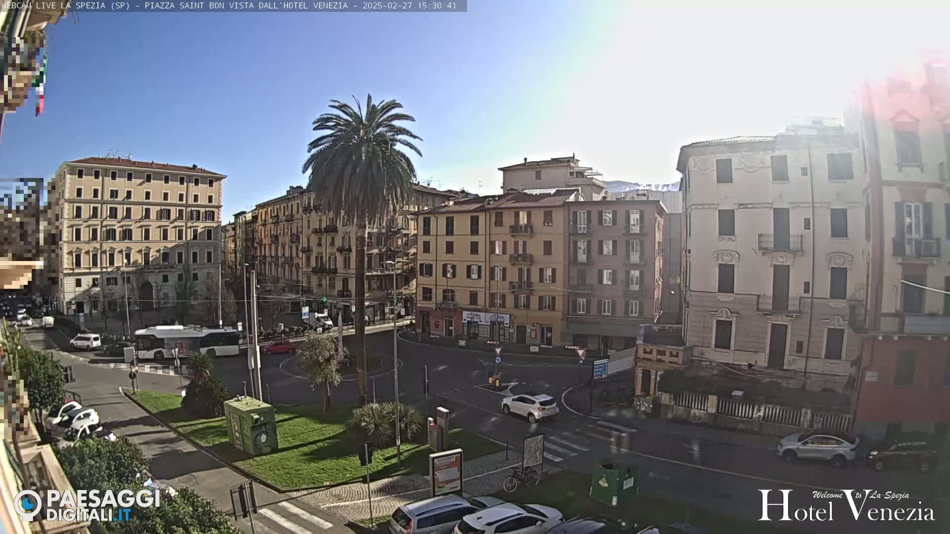 A sunny day in a European city square with several multi-story buildings surrounding a traffic circle with cars and a bus, and a tall palm tree in the center.