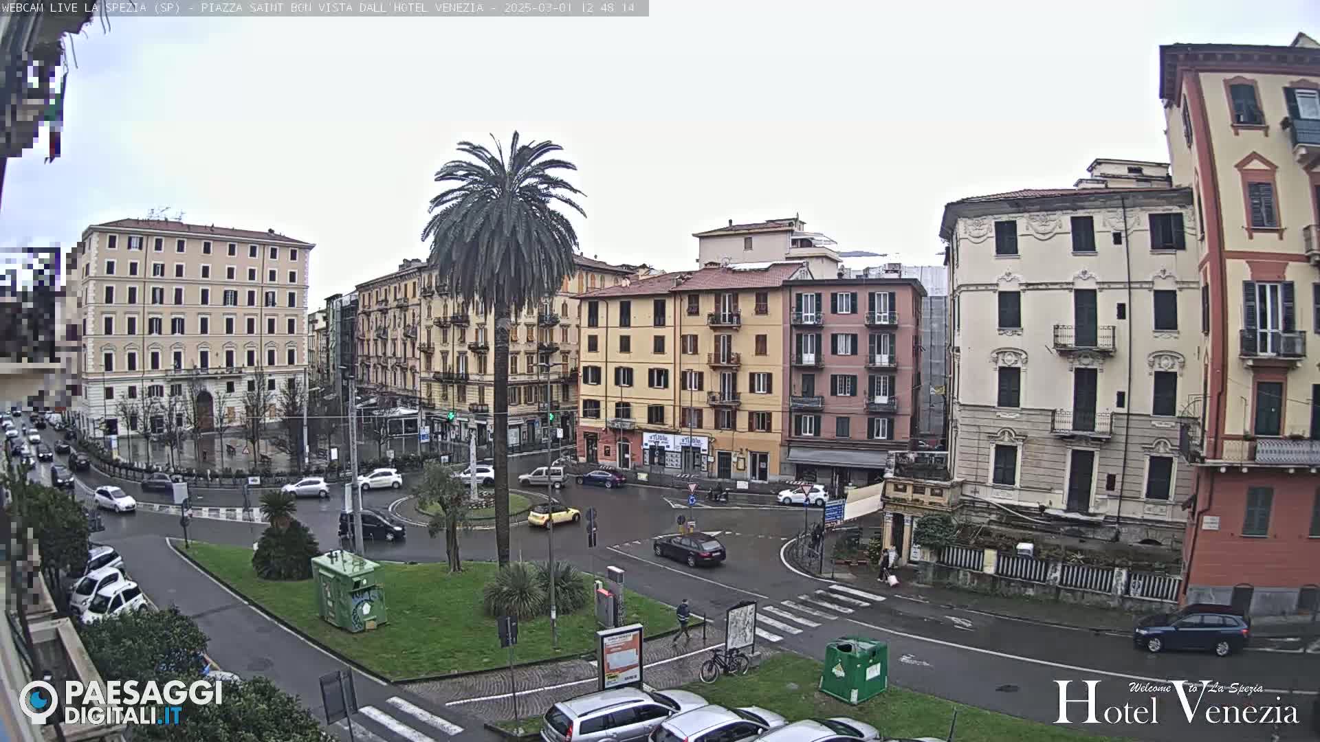 A city square with several multi-story buildings and a palm tree in the center, under an overcast sky.