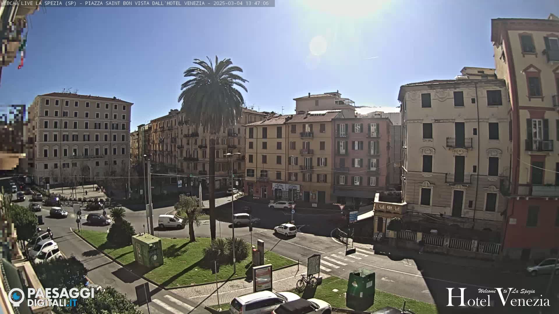 A sunny day in a European city square, showing multi-story buildings, cars, and a palm tree in a roundabout.