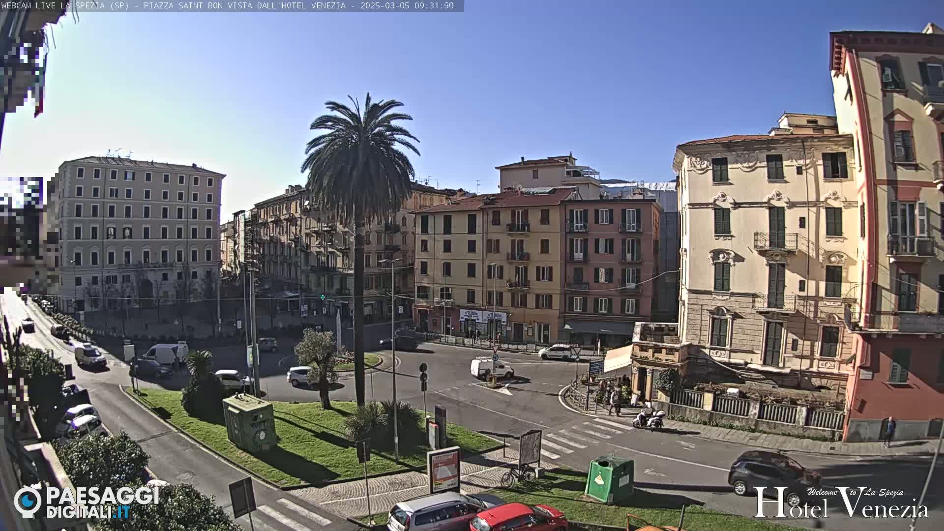 A sunny day overlooking a traffic circle in a European city with several multi-story buildings, one prominent palm tree, and some cars parked and driving.