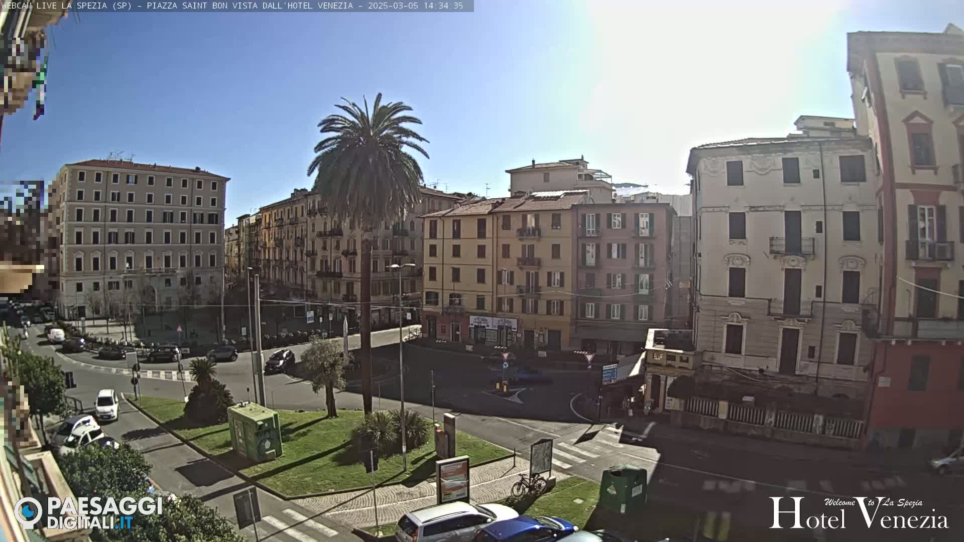 A sunny day reveals a city square with several multi-story buildings, cars, and a lone palm tree in the center.