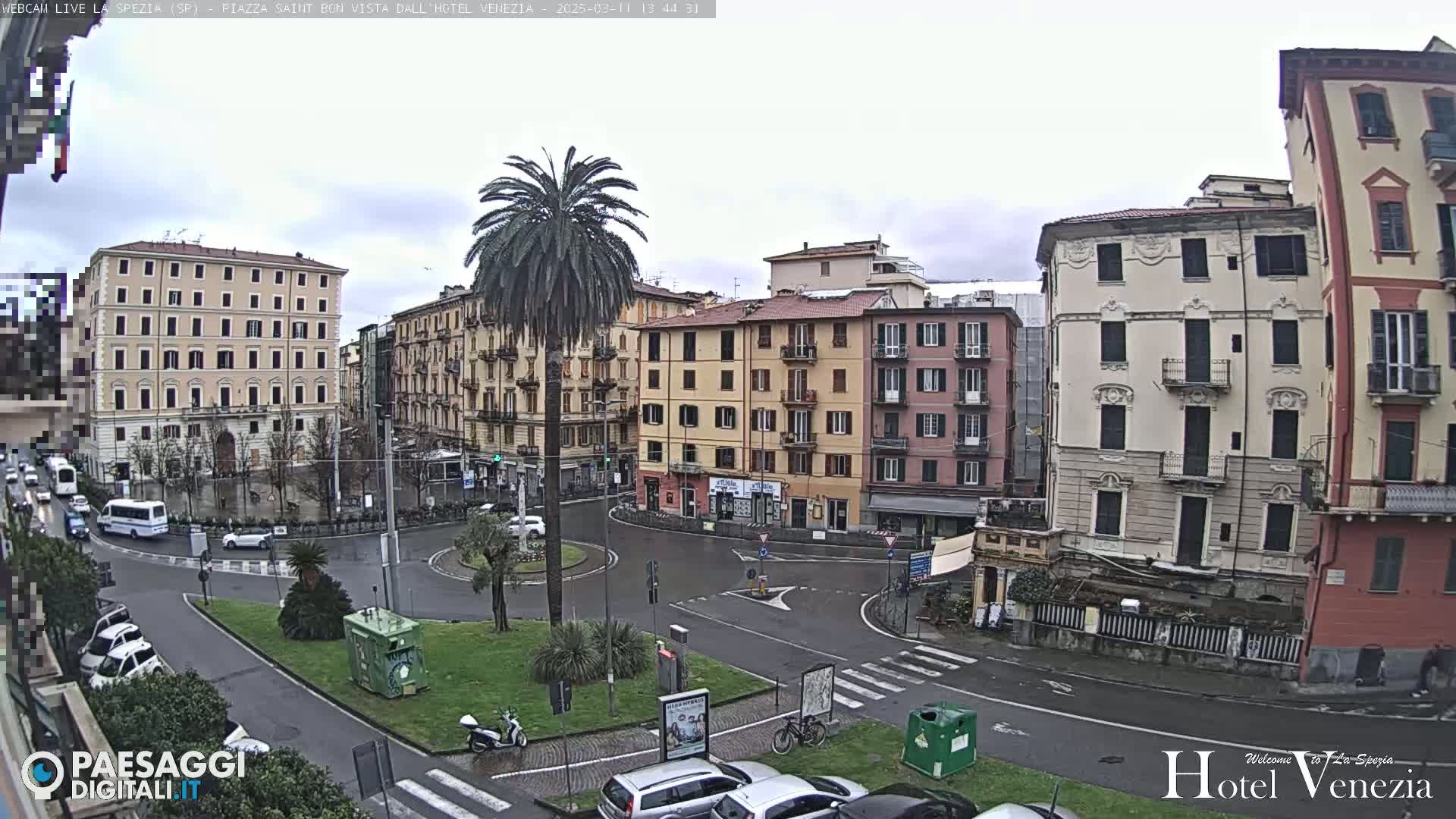 A mostly empty town square in overcast weather, surrounded by multi-story buildings, features a tall palm tree in the center of a small roundabout.