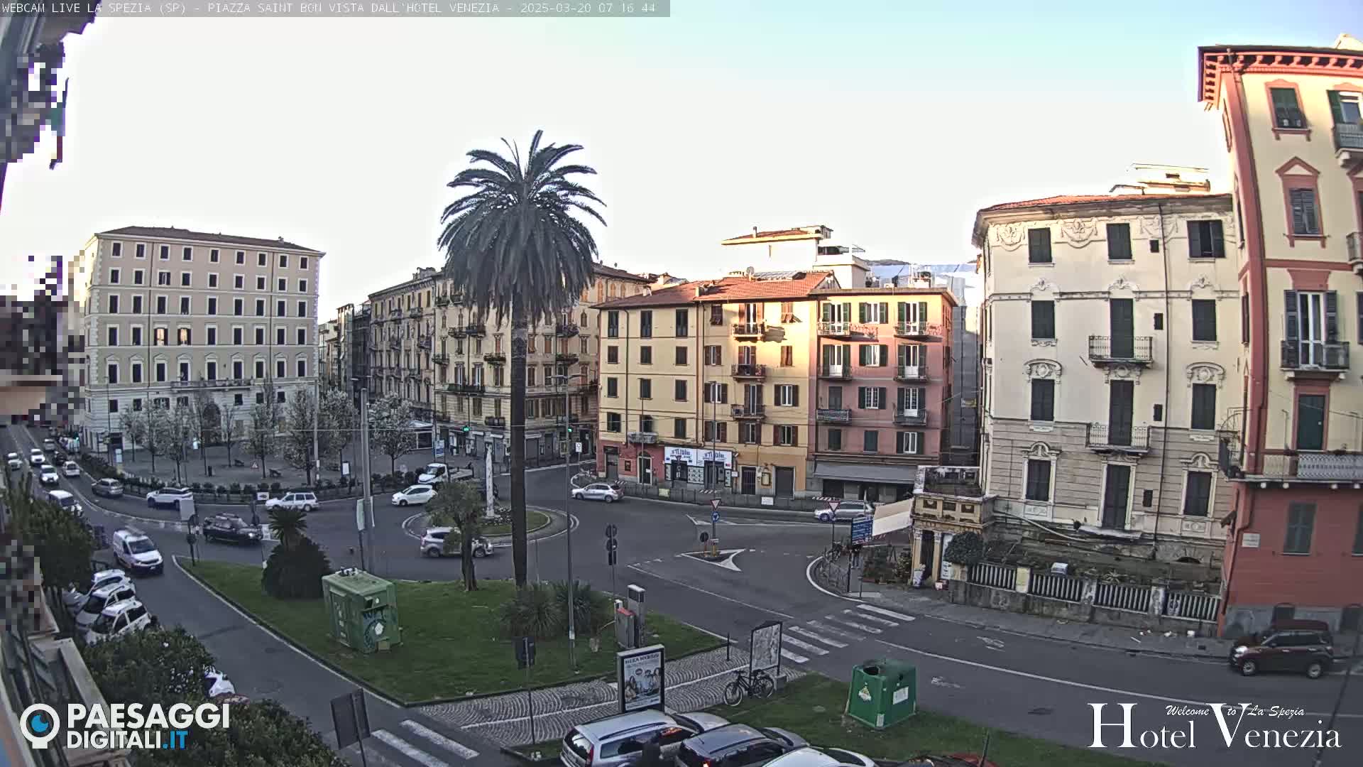 A mostly sunny city square with several multi-story buildings, a palm tree in the center, and light traffic.