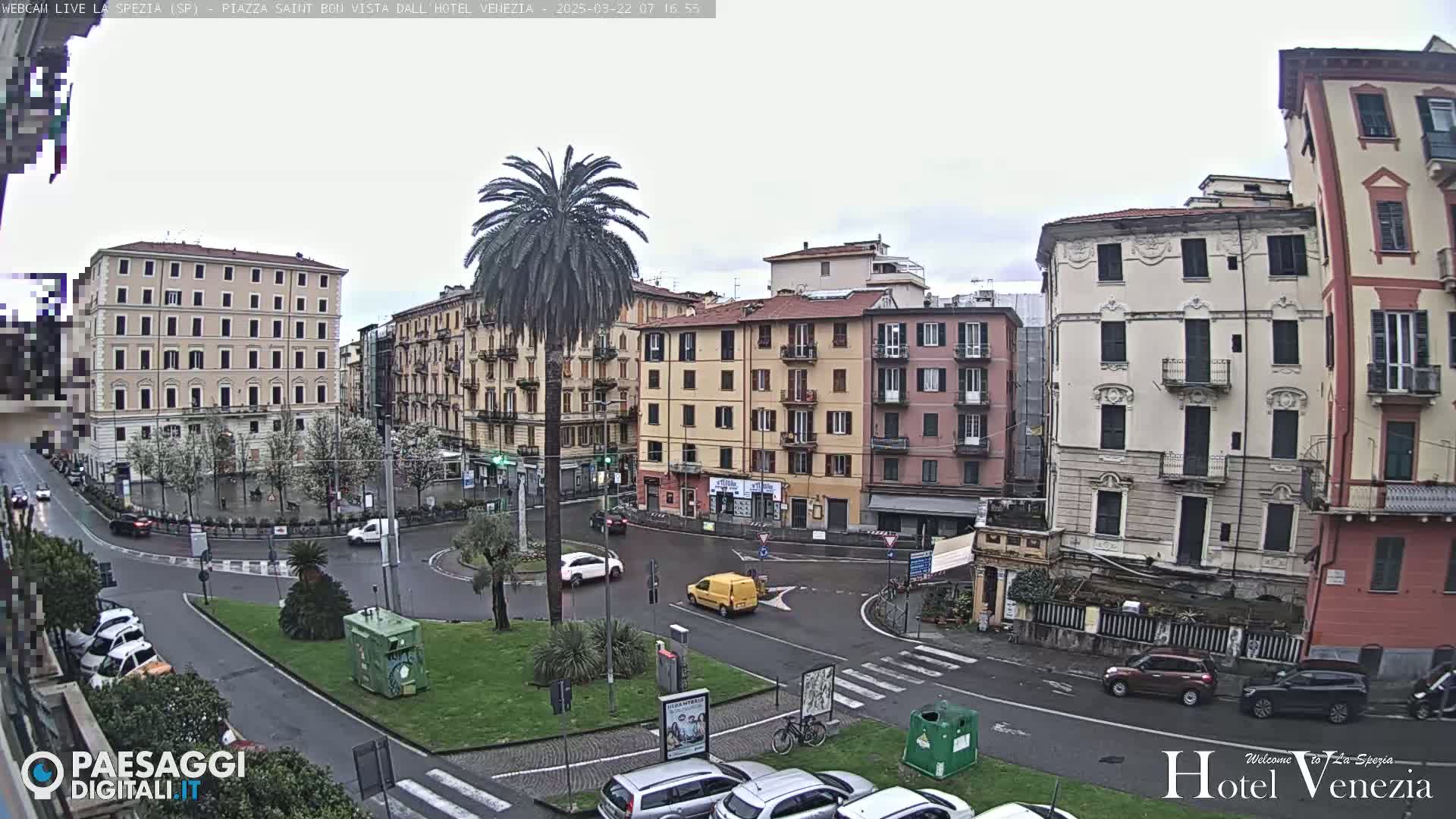 A mostly overcast view of a European city square with several multi-story buildings, a lone palm tree in a small roundabout, and sparse traffic.